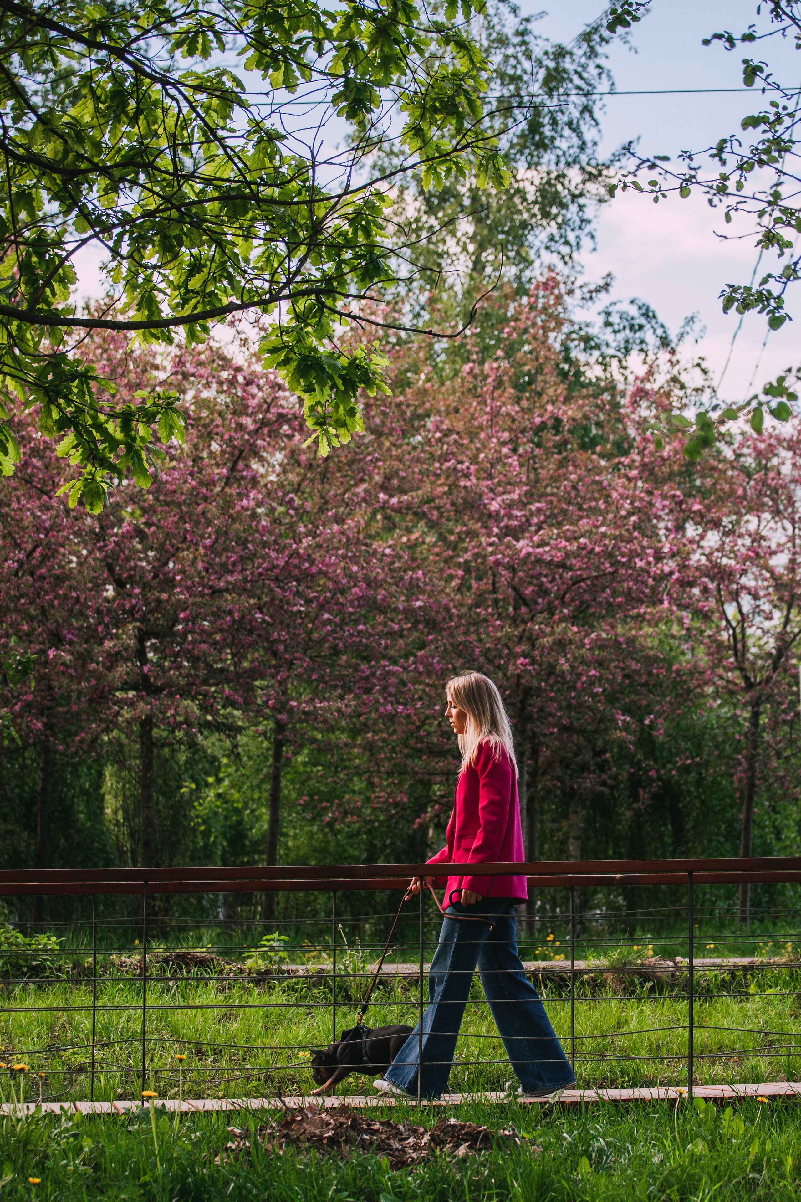 Даша и Мишель. Фотограф-анималист Татьяна Степанова