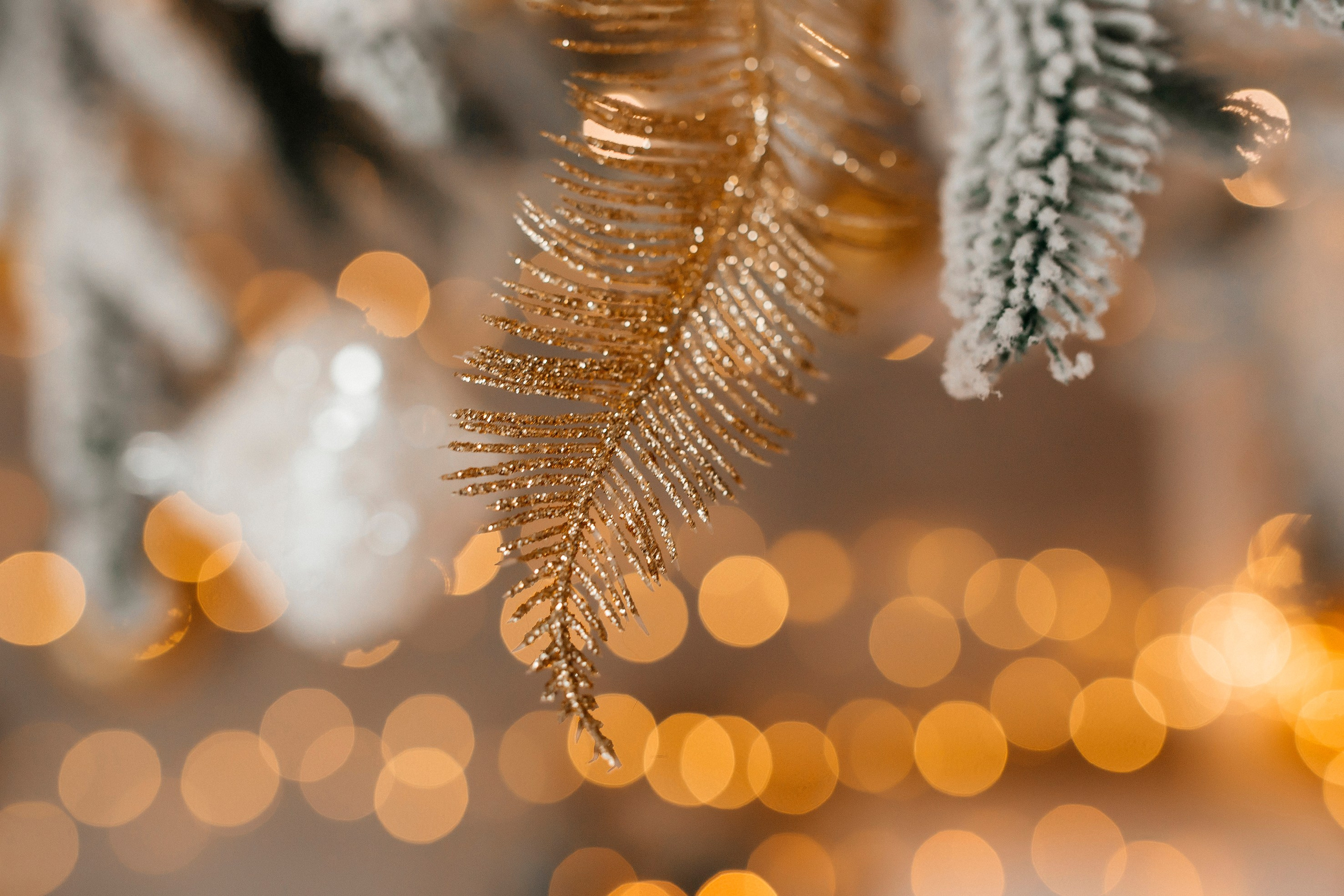 Новогодняя тематика. Команда фотографов Кристины Ивановой