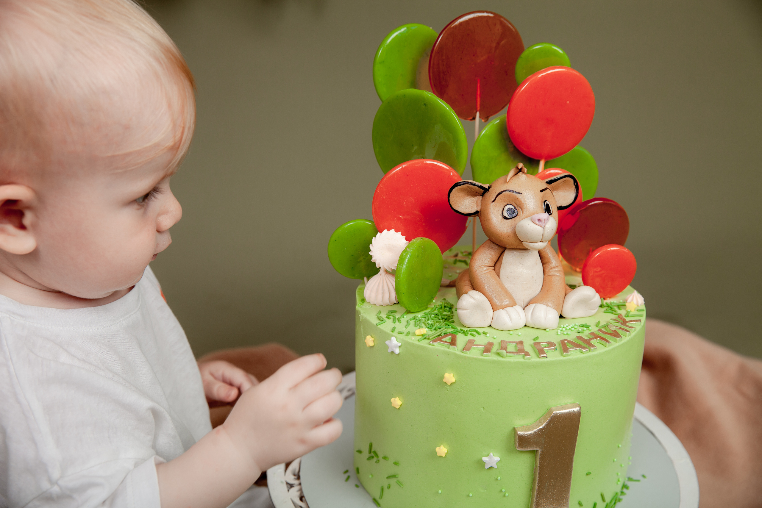 Фотосессия на годик Андраника. Фотограф в Железнодорожном и Балашихе