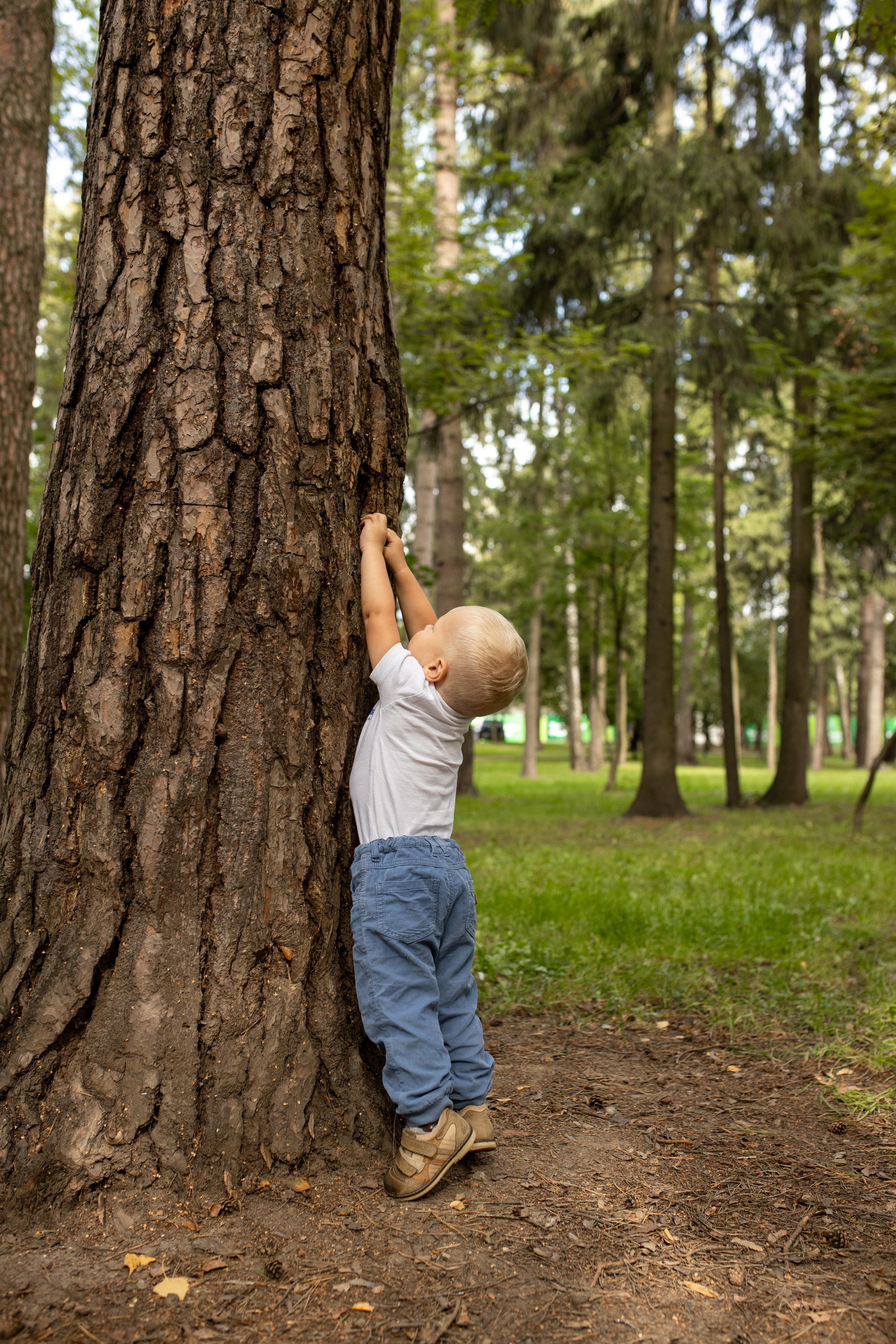 Семейная фотосессия в парке для Оли. Фотограф в Железнодорожном и Балашихе
