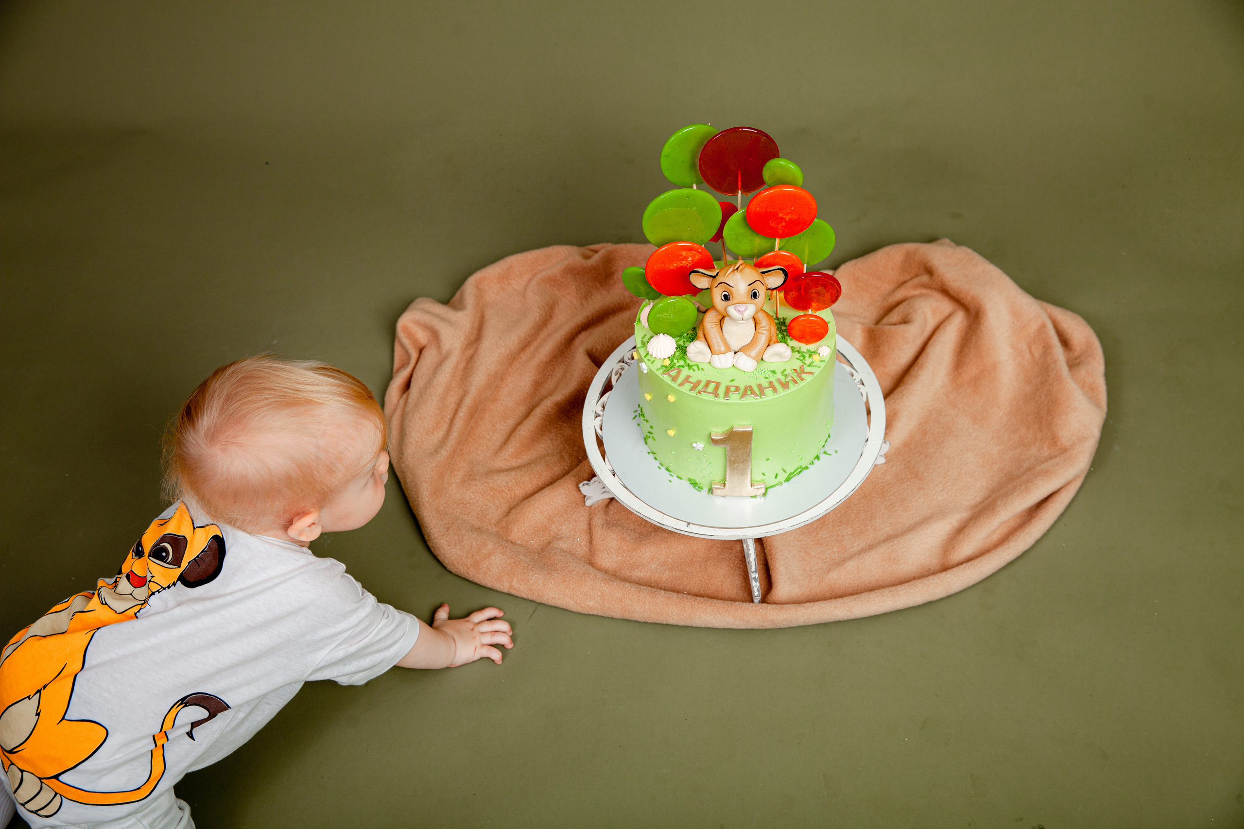 Фотосессия на годик Андраника. Фотограф в Железнодорожном и Балашихе