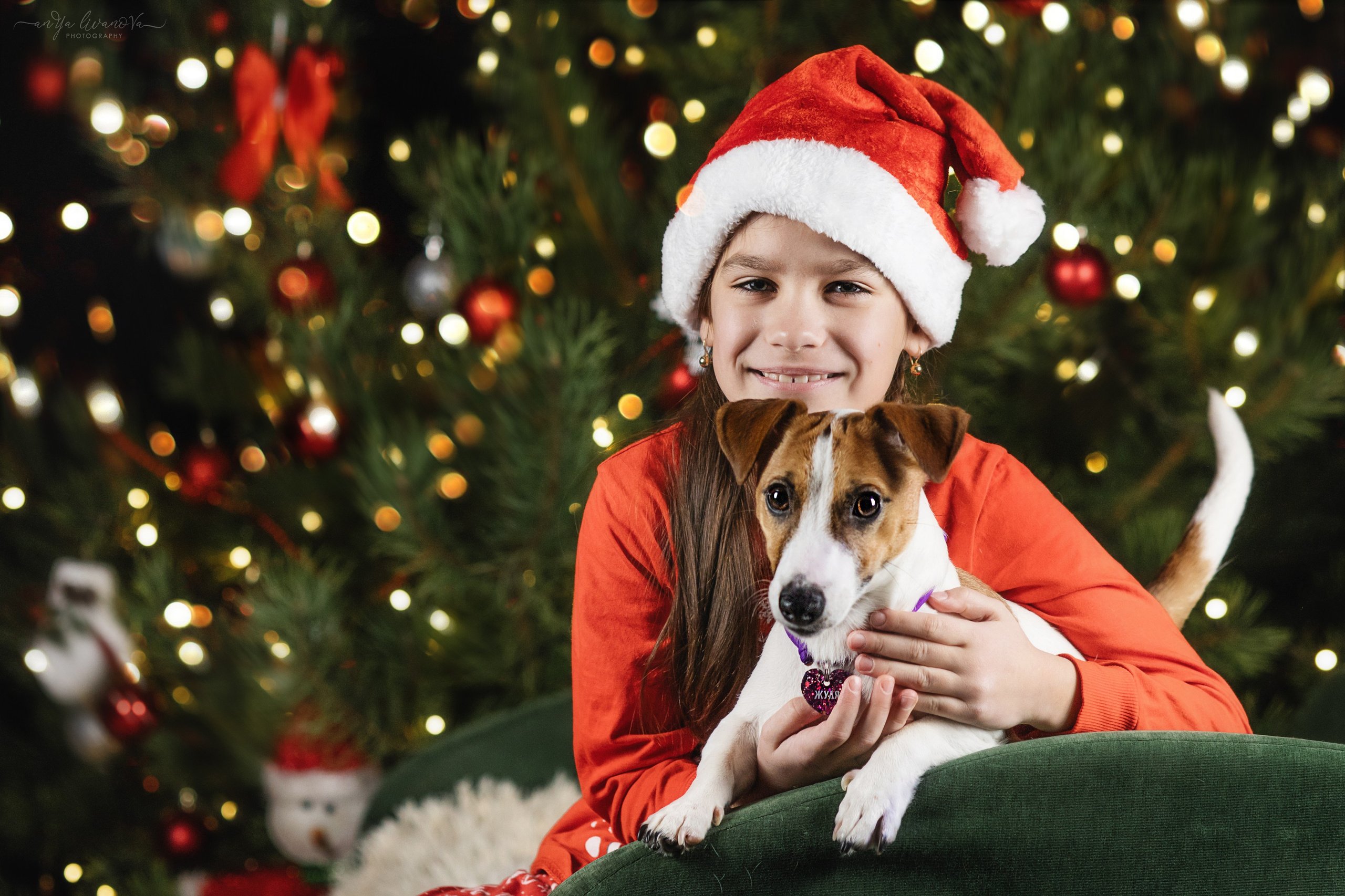 Новогодняя атмосфера в «Simply the Best». Фотограф анималист Аня Ливанова | Рыбинск