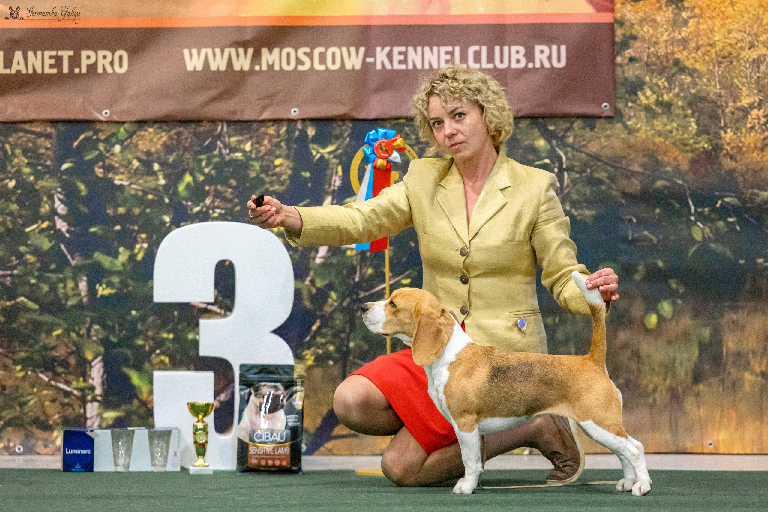 Сфера 29.10,Крокус 4.11,Сфера 12.11.2023. Фотограф-анималист Юлия Германика