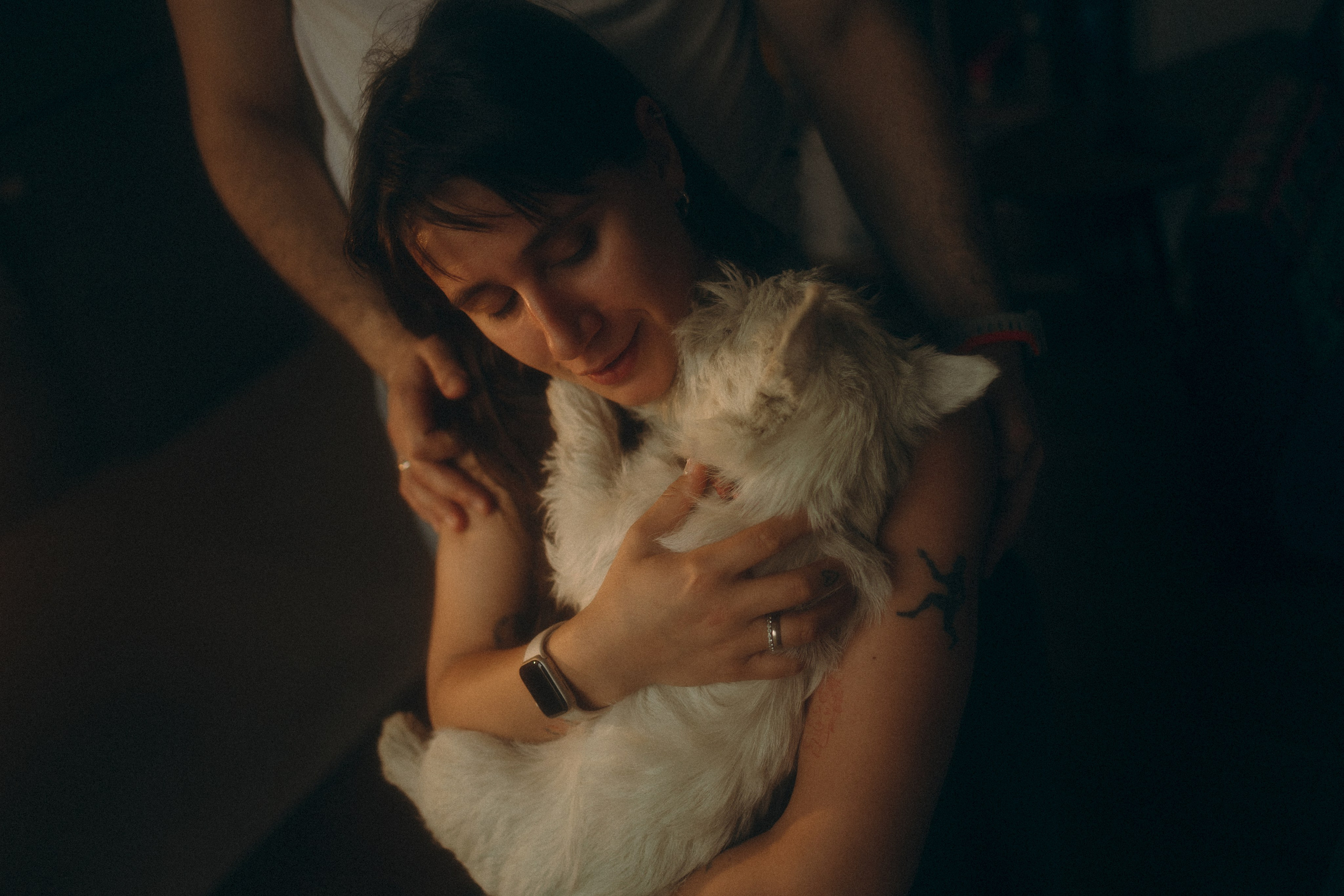 Снежуля, Мари и Саша. Фотограф анималист Анастасия Пикей