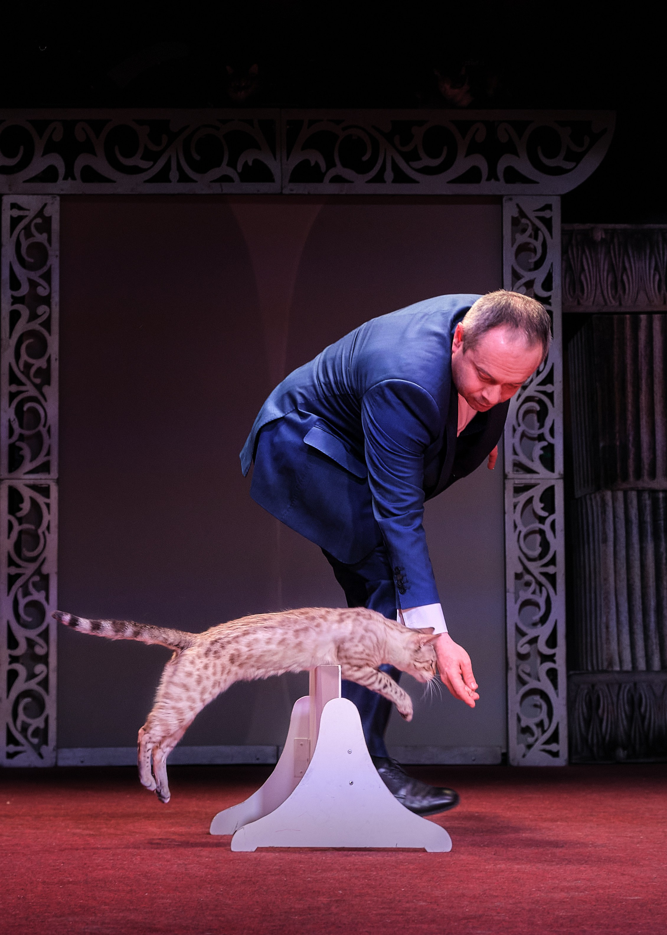 Пресс-конференция Ю.Куклачева в театре кошек