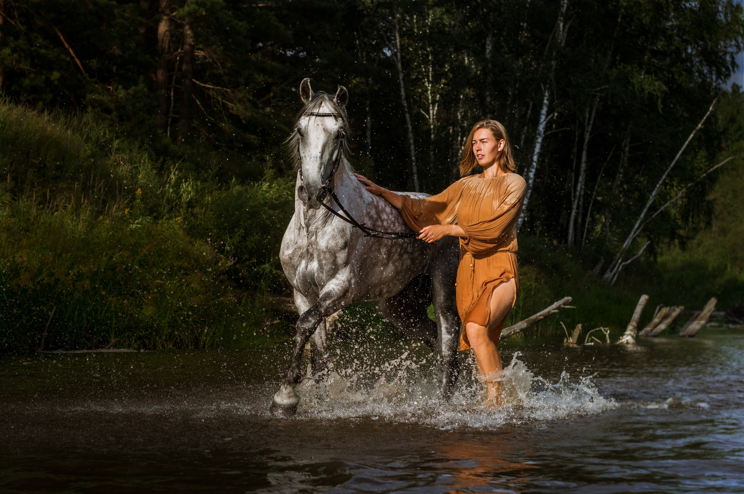 Человек и Лошадь. Главная