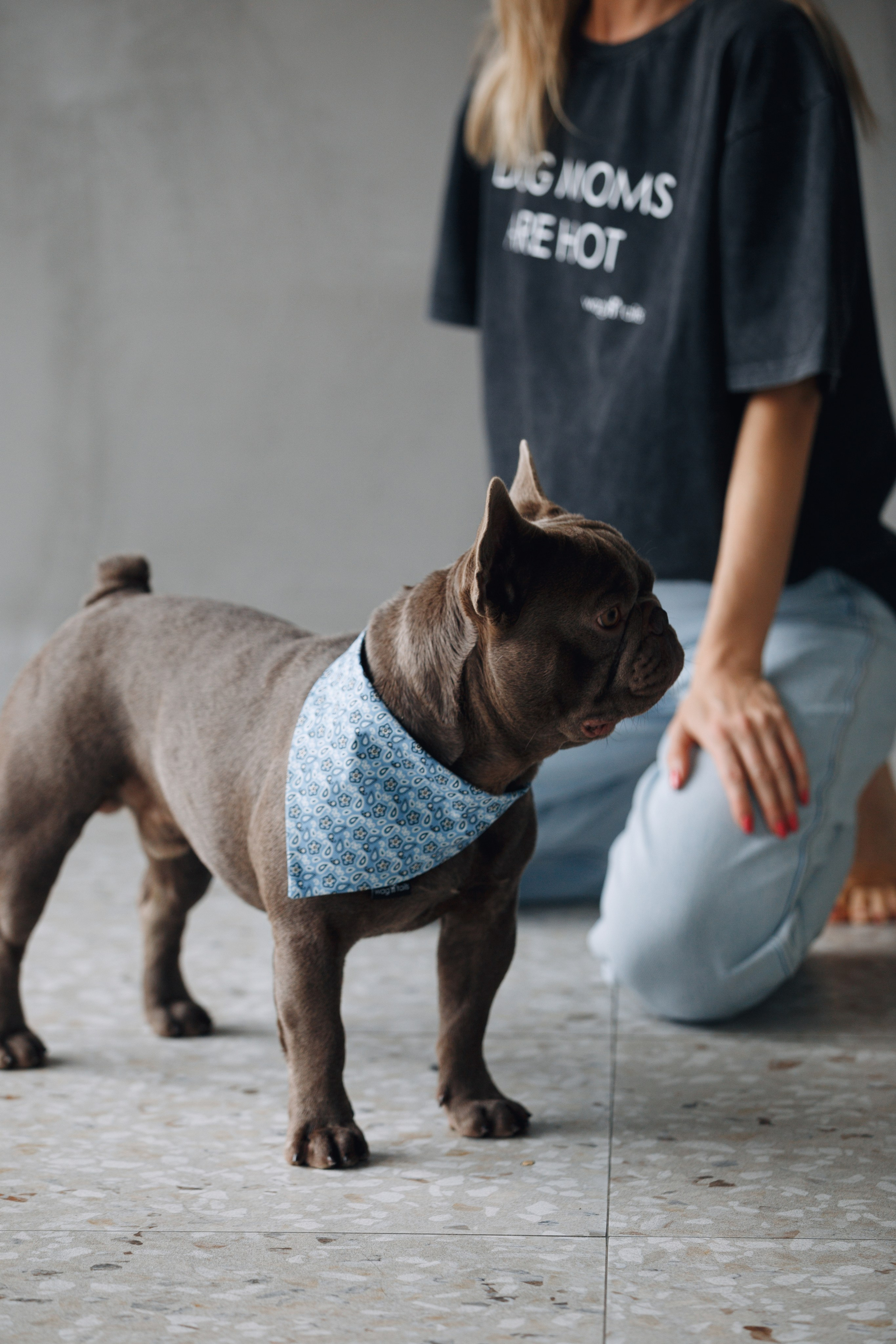 Wag'n'tails аксессуары для животных. Фотограф анималист Кристина Карпова, Москва