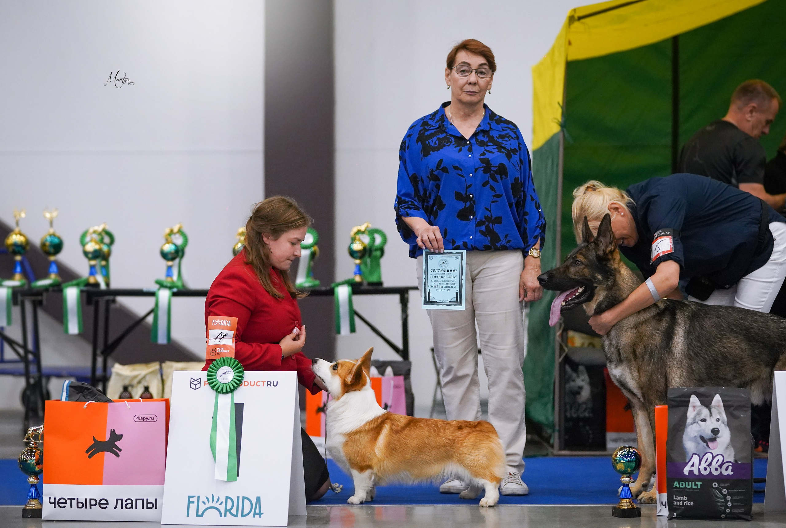 Выставки 2023. Фотограф-анималист в Санкт-Петербурге Яна Мартынова