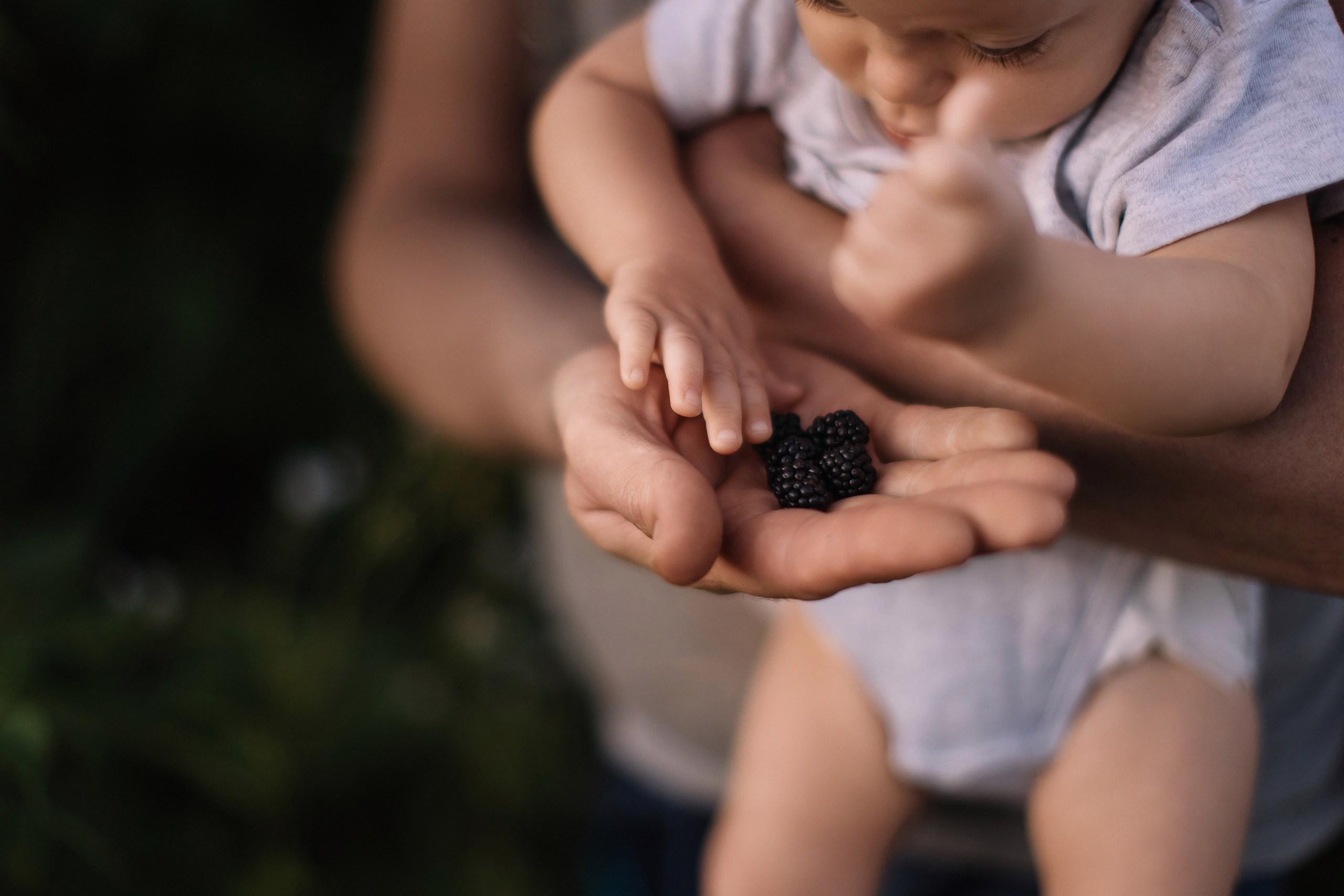 Дачные истории. Алексей Зараковский. Свадебный и портретный фотограф в Туле