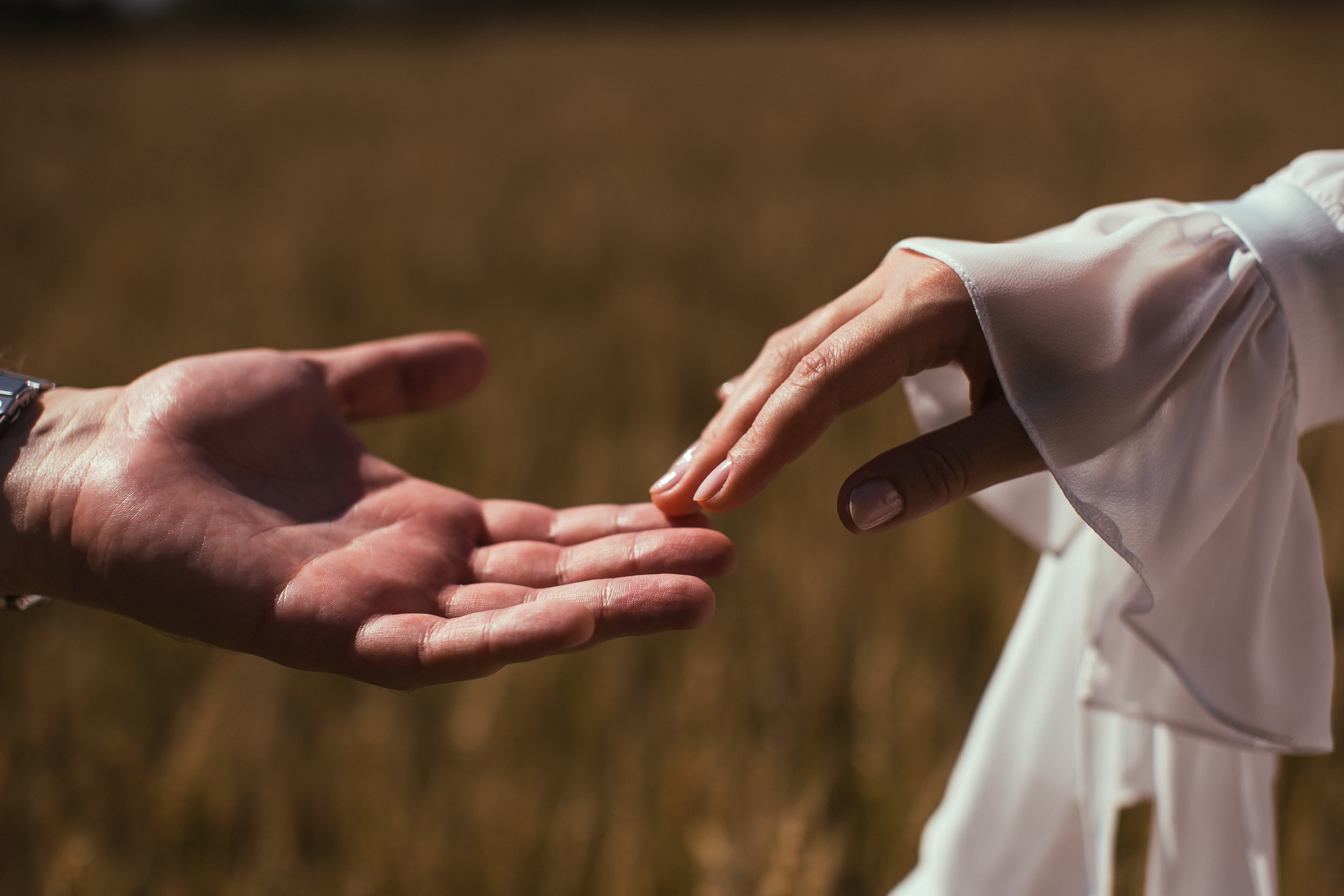 Самый жаркий день 2023…. Алексей Зараковский. Свадебный и портретный фотограф в Туле