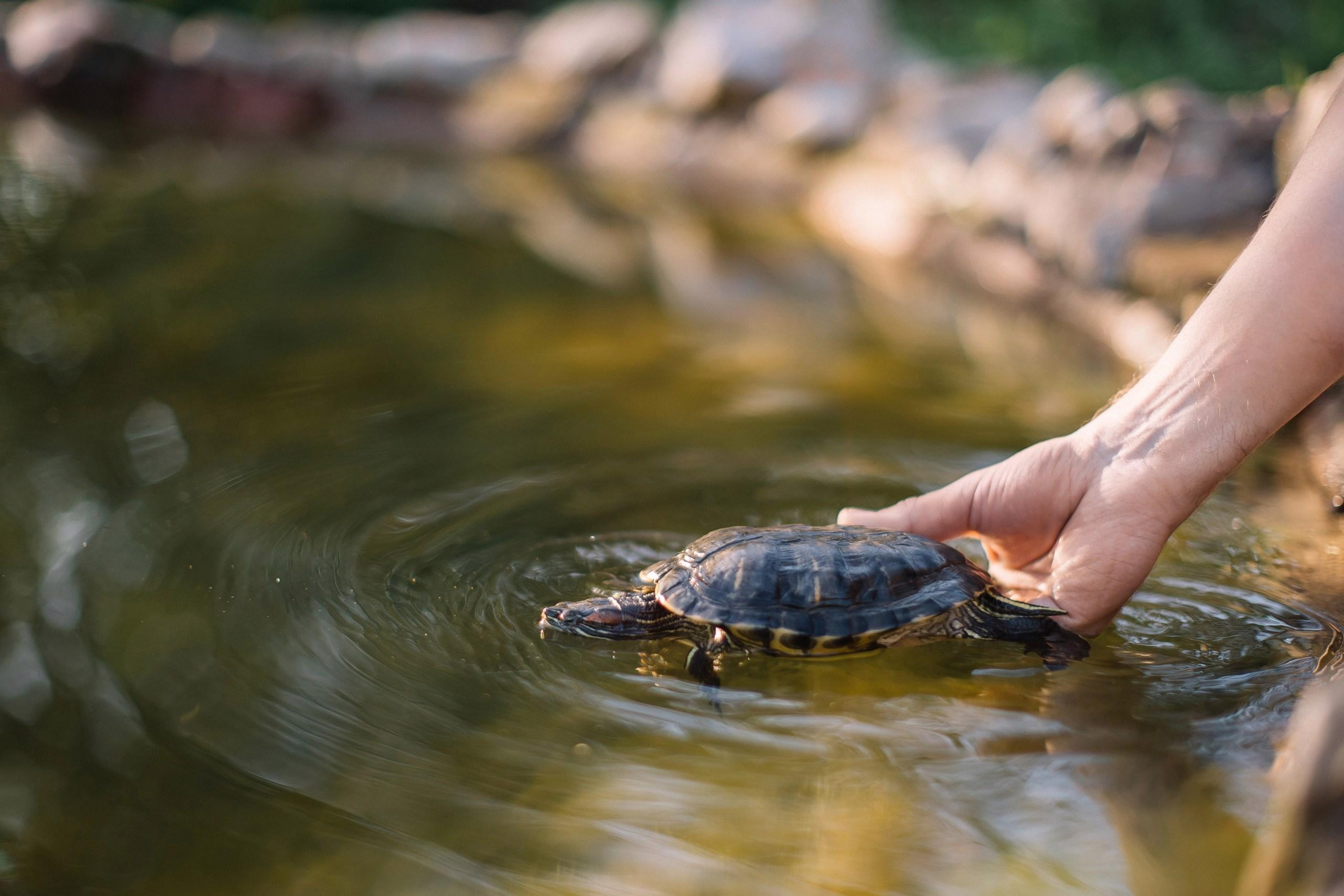 Дачные истории. Алексей Зараковский. Свадебный и портретный фотограф в Туле