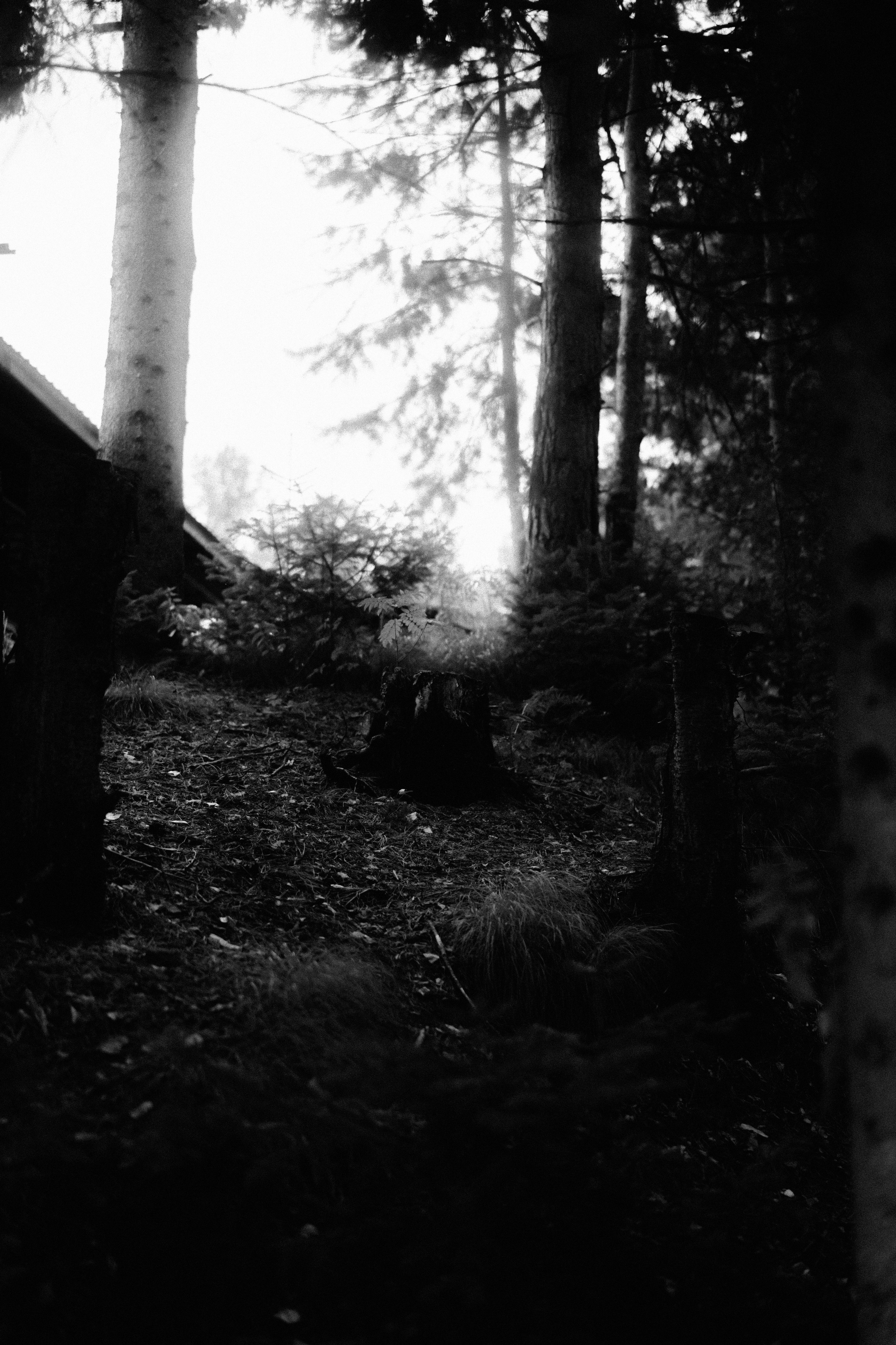 Нагорный Иштан. Veronika Popadeikina Photographer