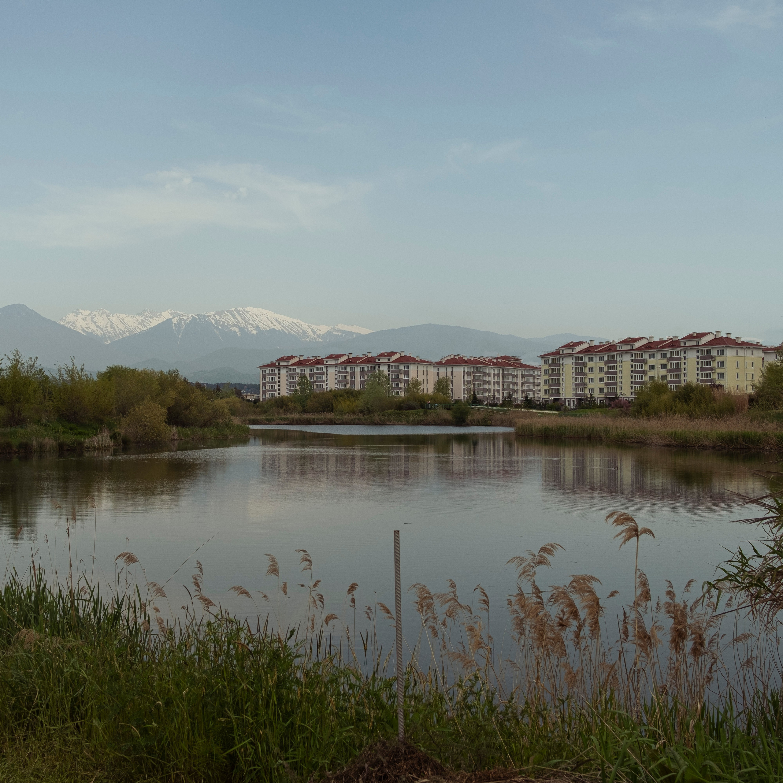 Сочи, 2022. Портретный фотограф в Москве Евгения Яковенко