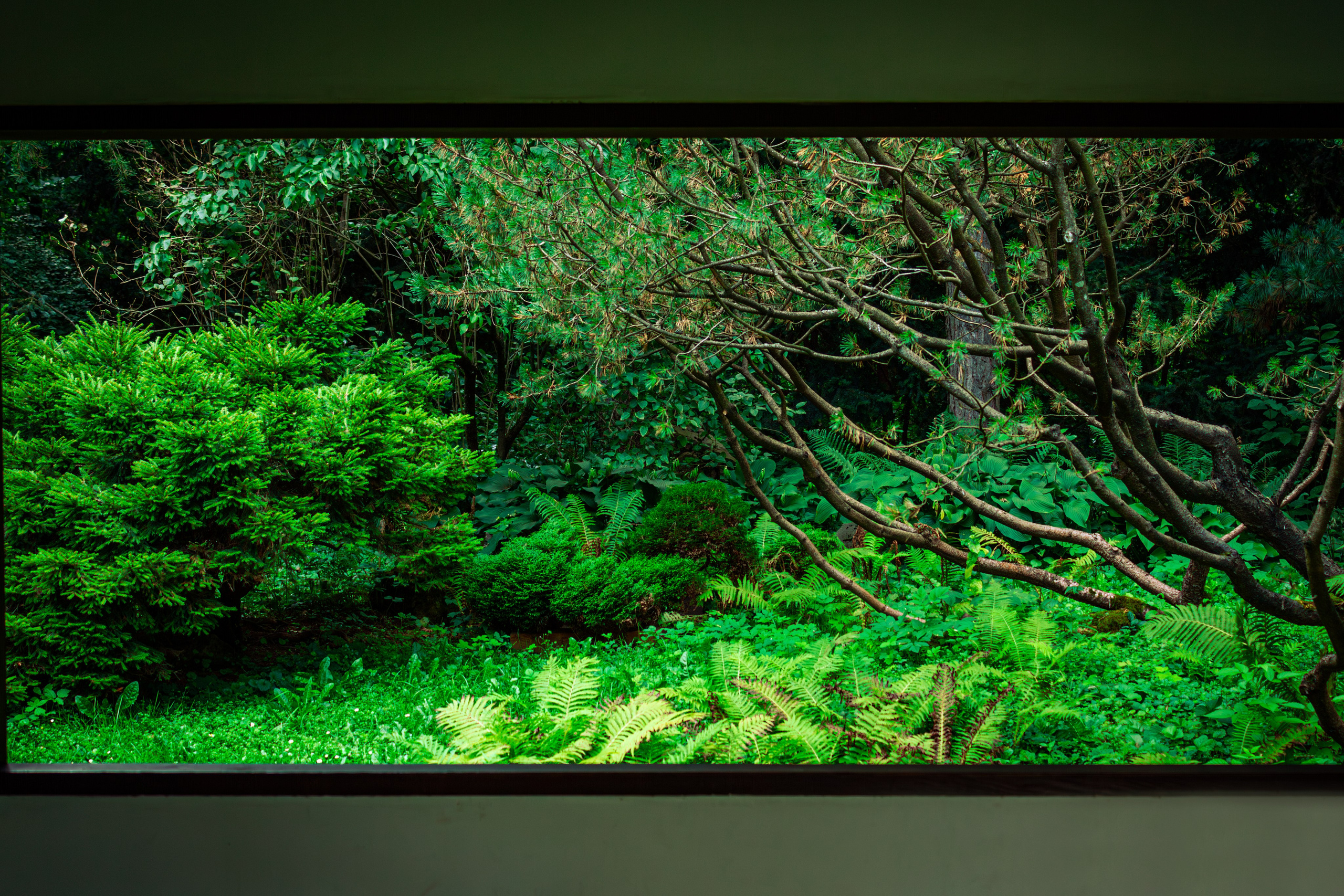 Москва. Фотограф в Новокузнецке