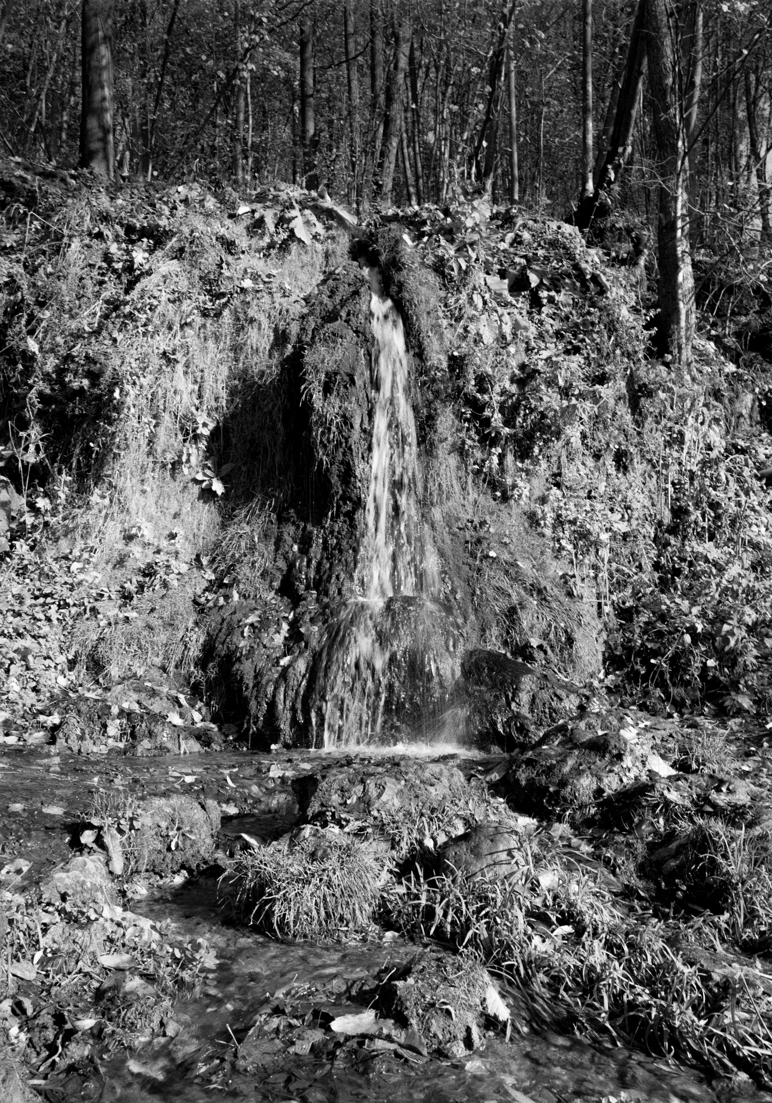 Prints. Maria Abdullaeva