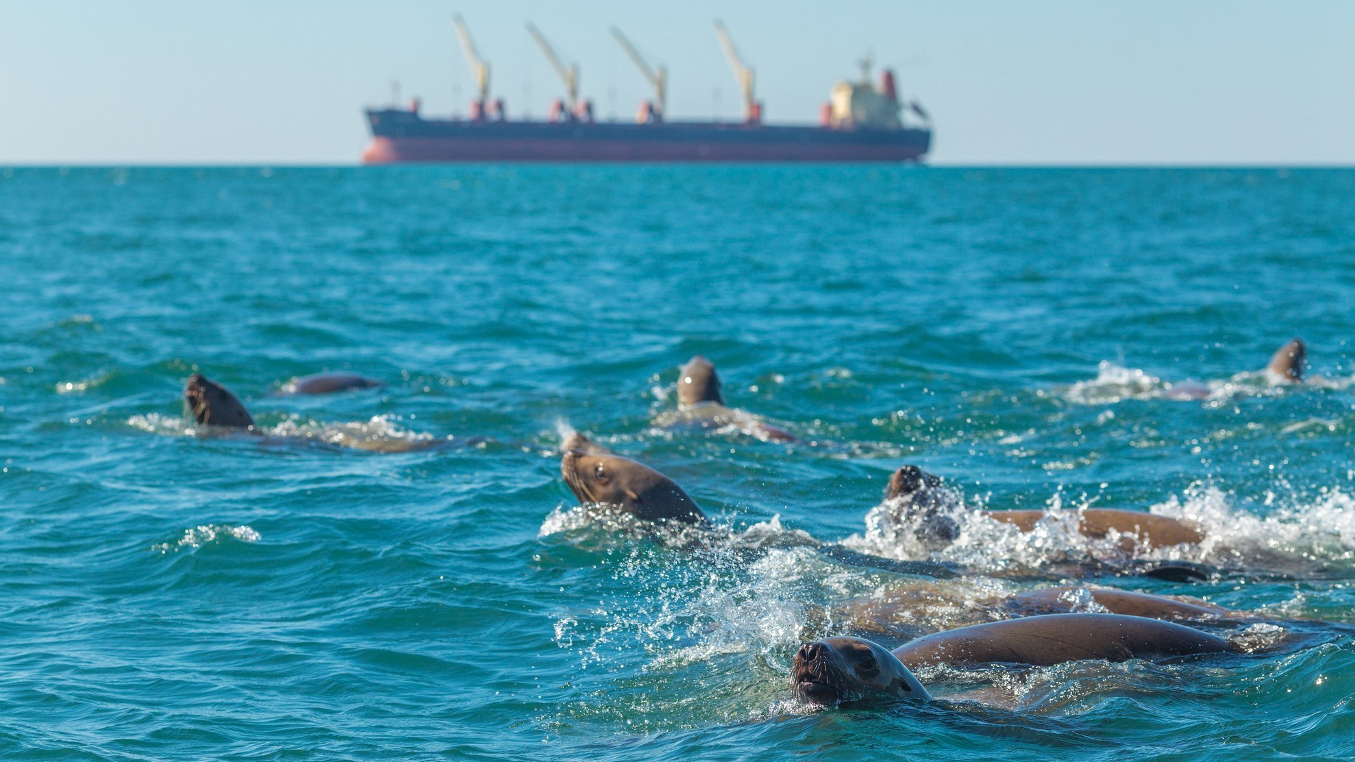 Путешествия (Пейзажи, уличная фотография и др.). Фотограф. г. Южно-Сахалинск. Олег Толстов