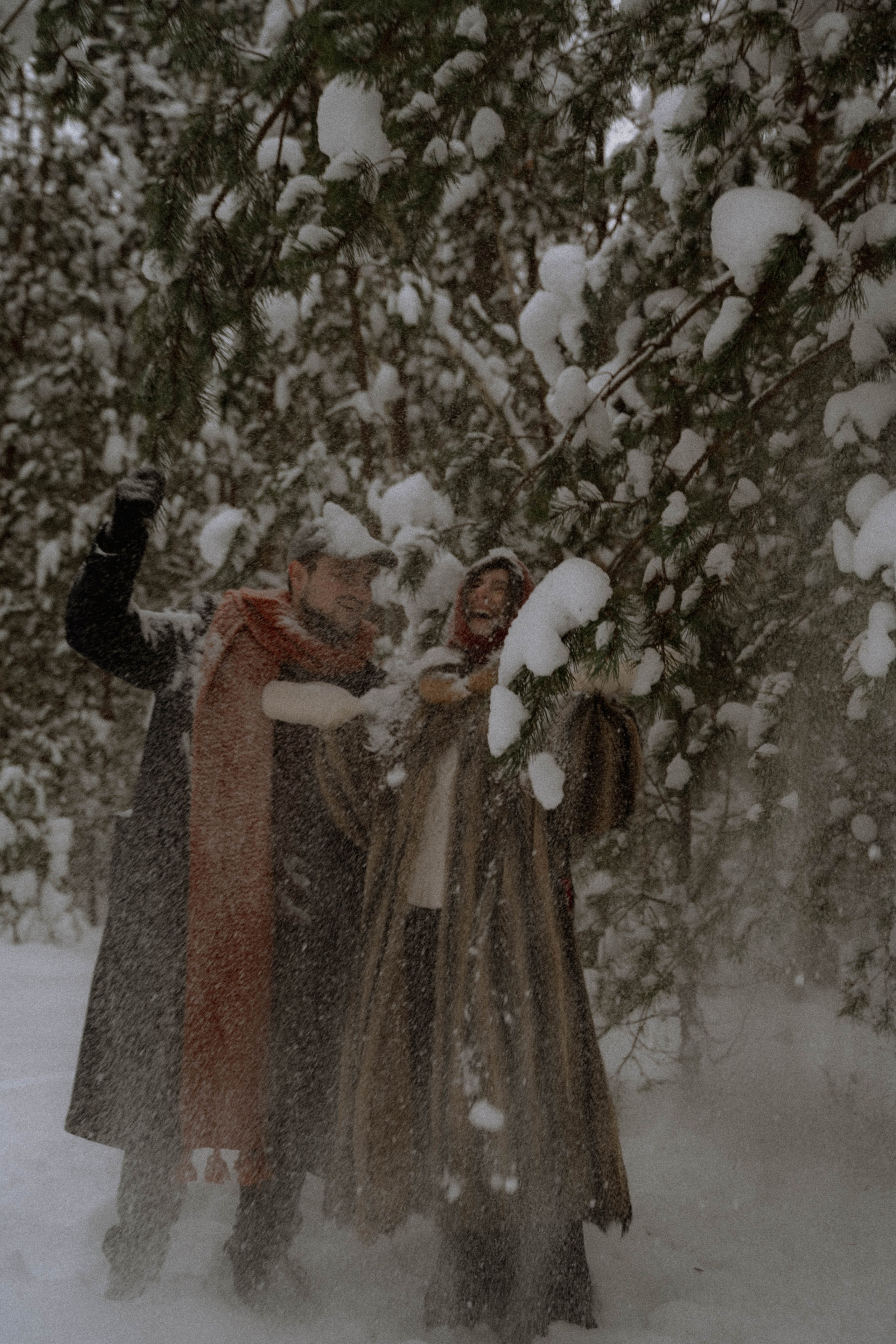 Очень зимние дела. Главная