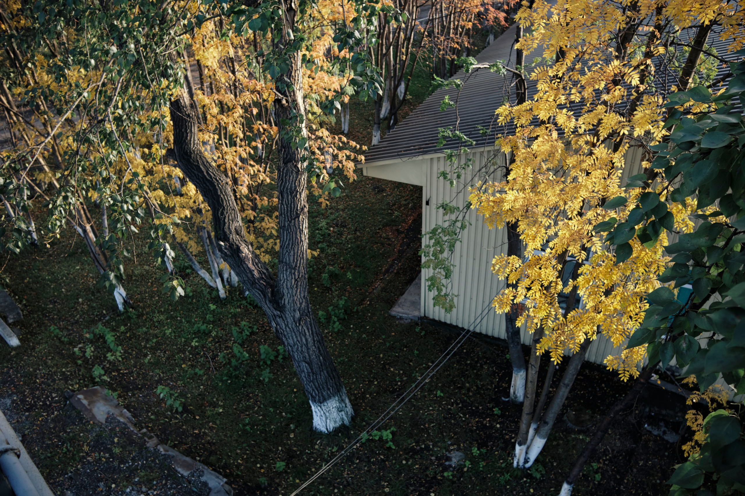 Поездка в Мурманск. Заметки и фото. Елена Павленко. Фотограф. Москва