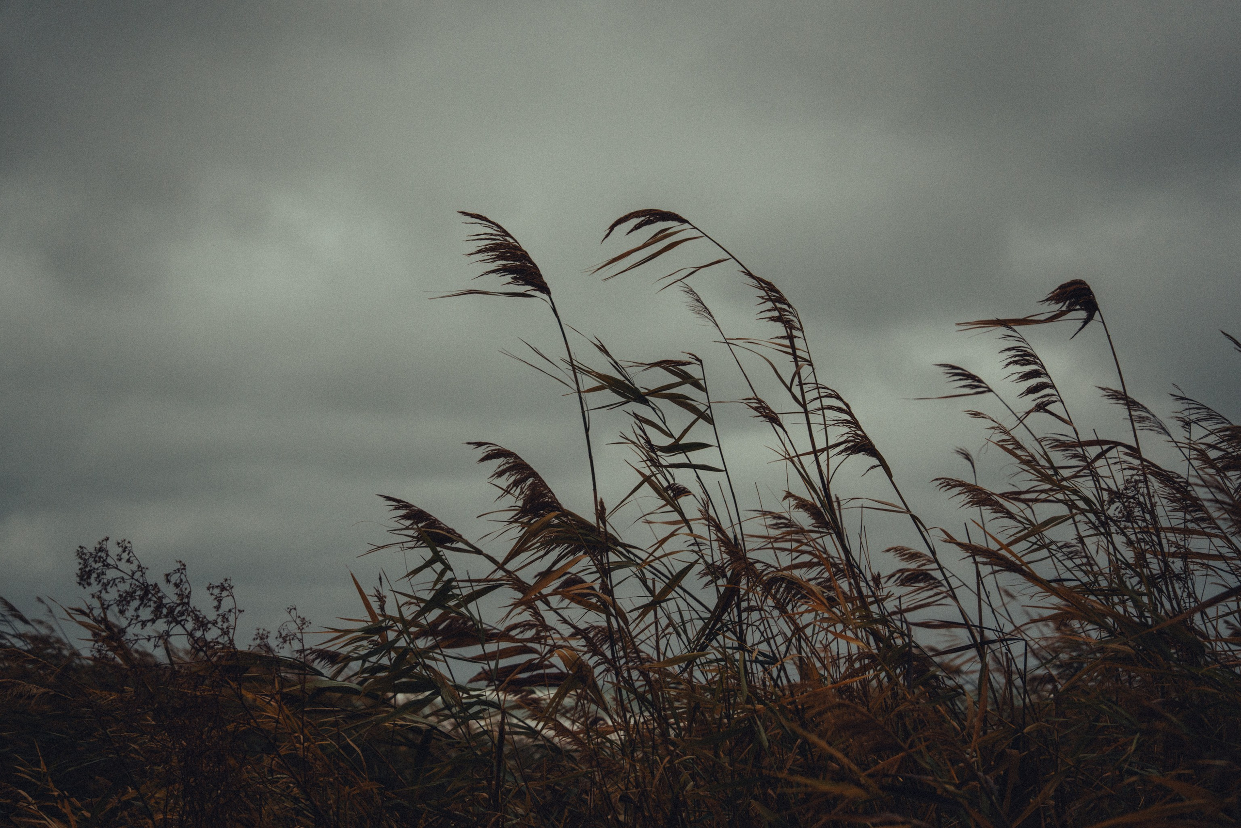 Актау, Ноябрь 2024