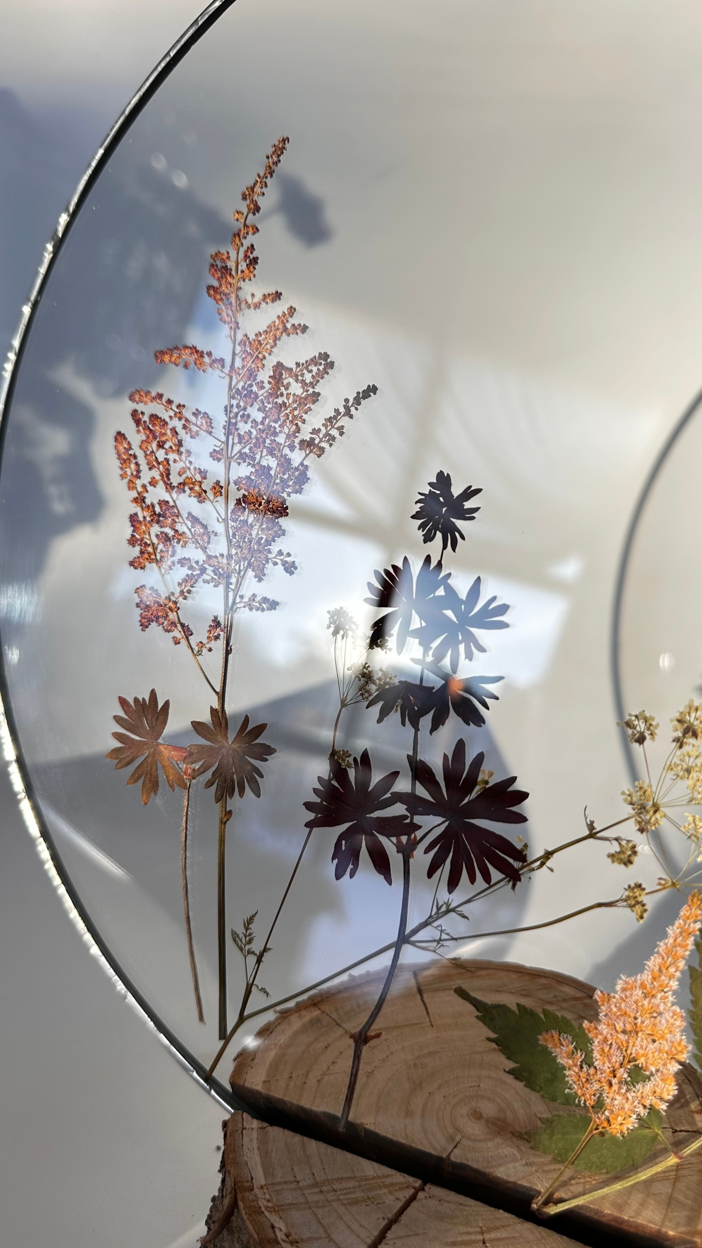 Гербарий в стекле с сухоцветами (витраж в технике тиффани). Гербарий в стекле, интерьерные панно, витражи с сухоцветами в технике тиффани