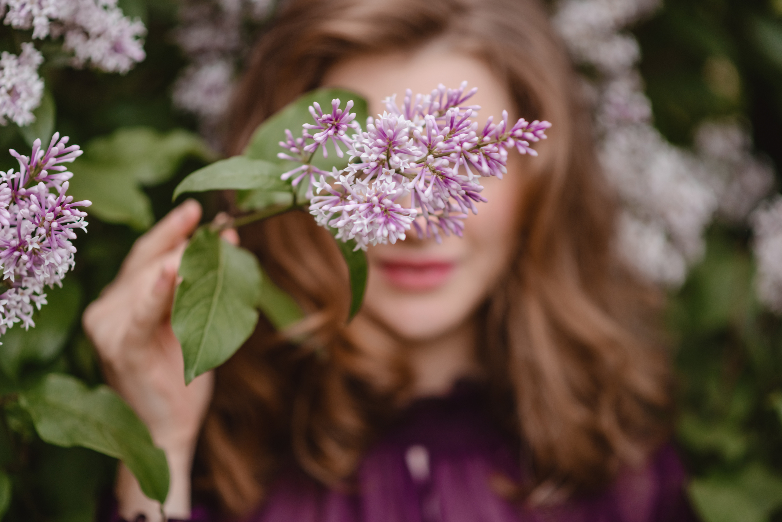 Питерская сирень с Юлей. Безуглова Юлия Контент фотограф Санкт-Петербург