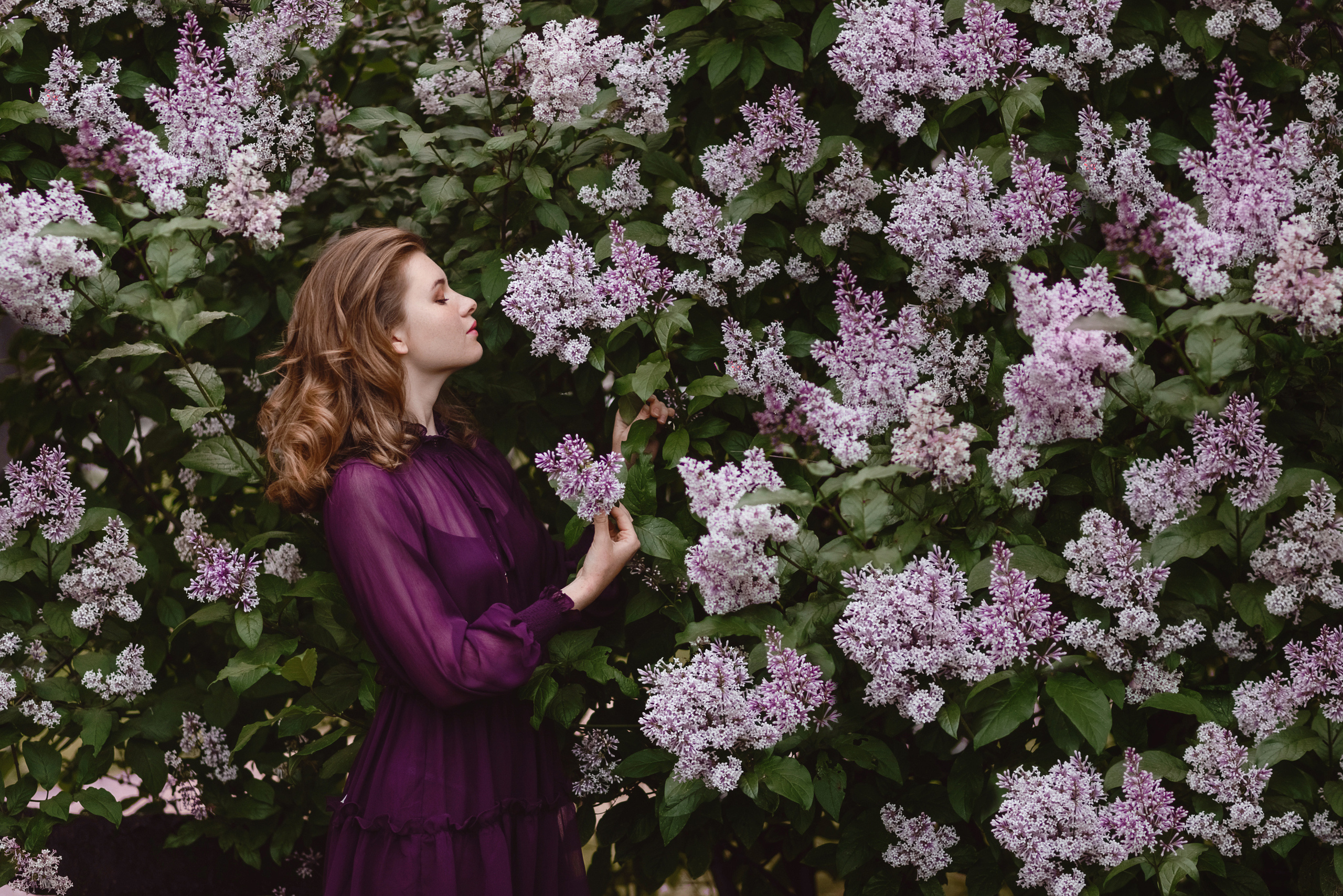 Питерская сирень с Юлей. Безуглова Юлия Контент фотограф Санкт-Петербург