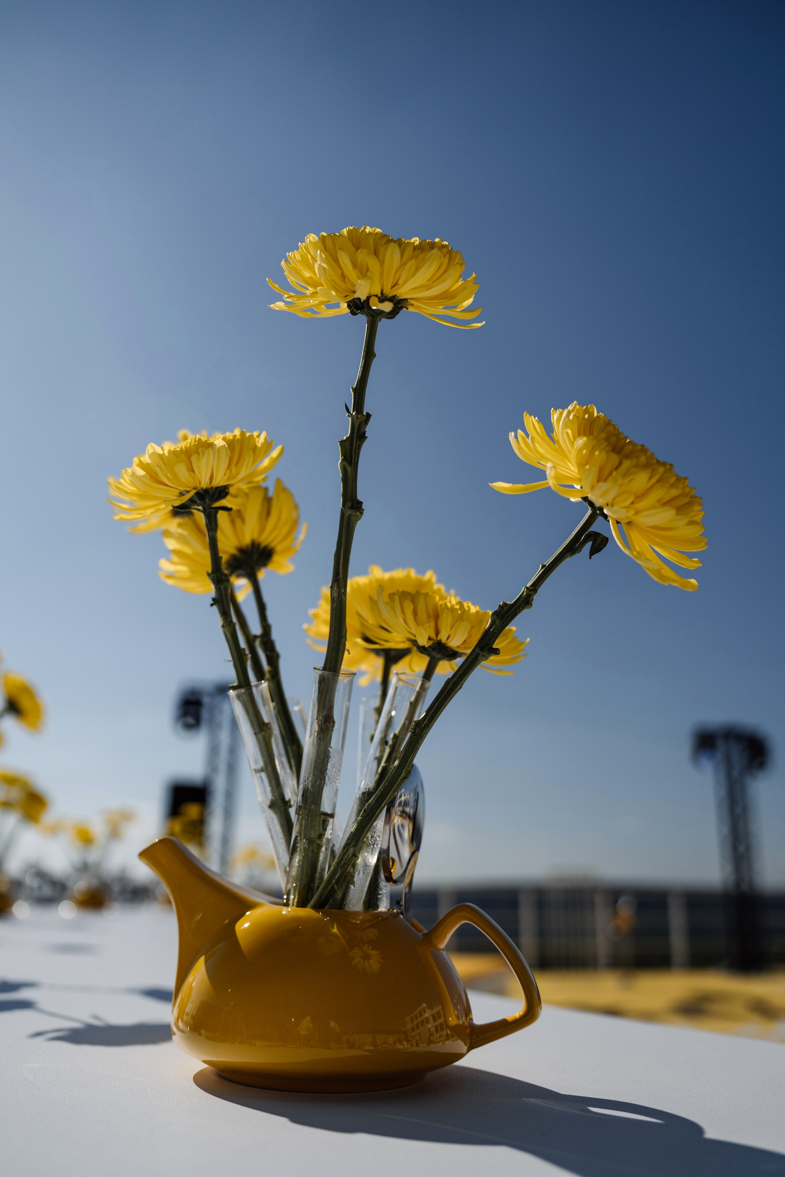 Одним сентябрьским днем 🍂. Свадебный фотограф и видеограф в Тольятти, Самаре и Москве — Арзу Магеррамов