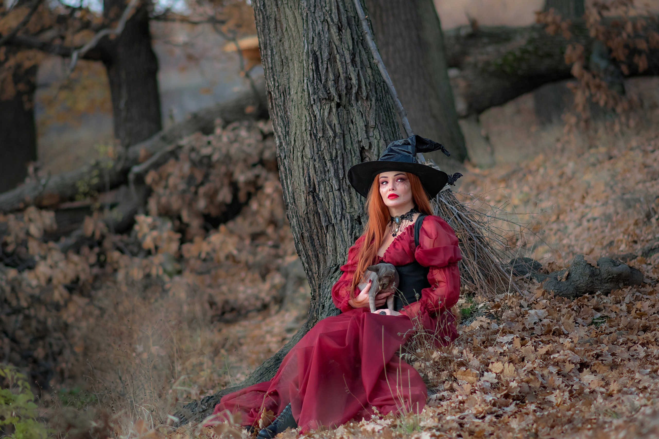 Осень. Фотограф Ольга Холина|Дебальцево