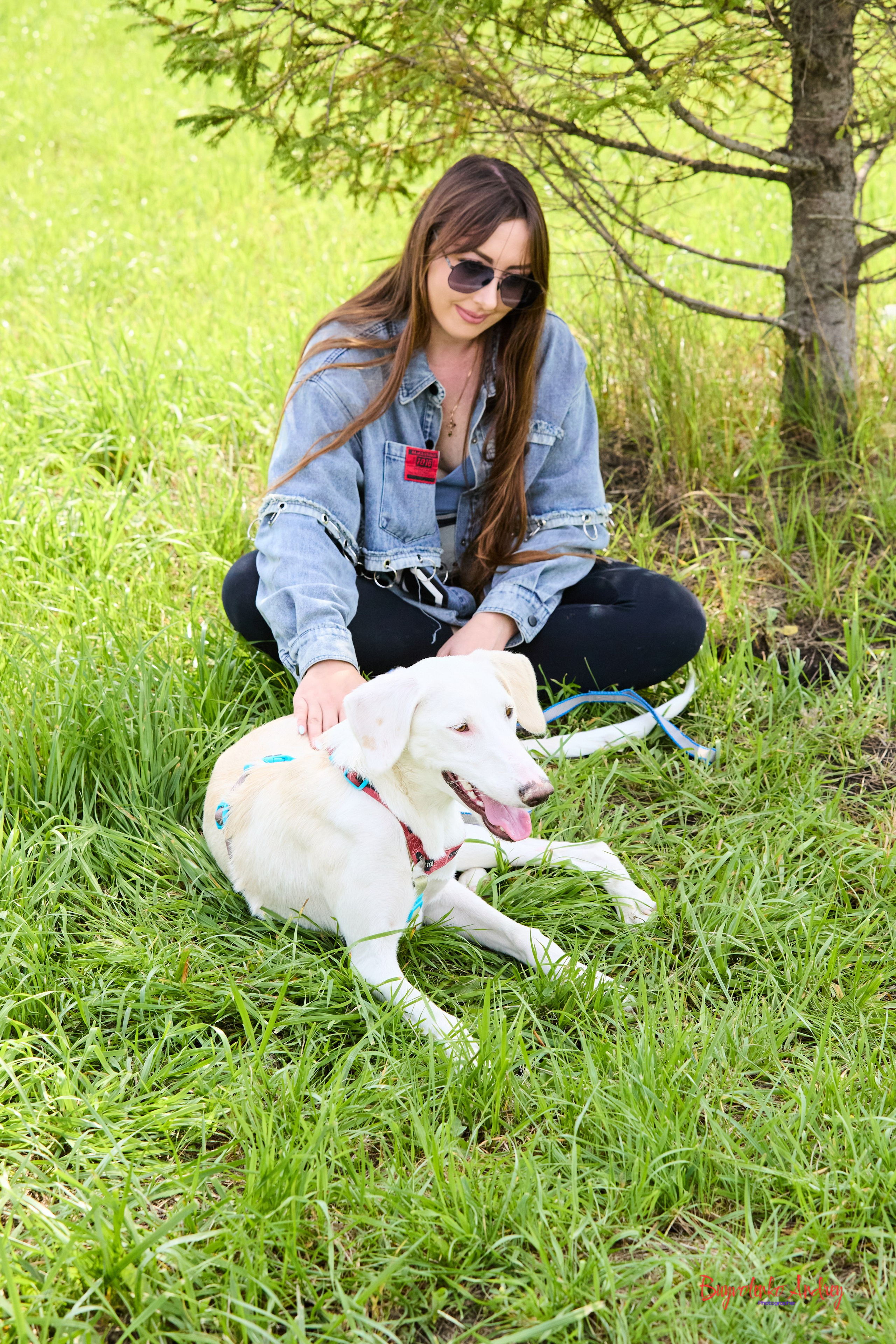 Проект фотопрогулка с хвостиком. Buyvolenko Andrey