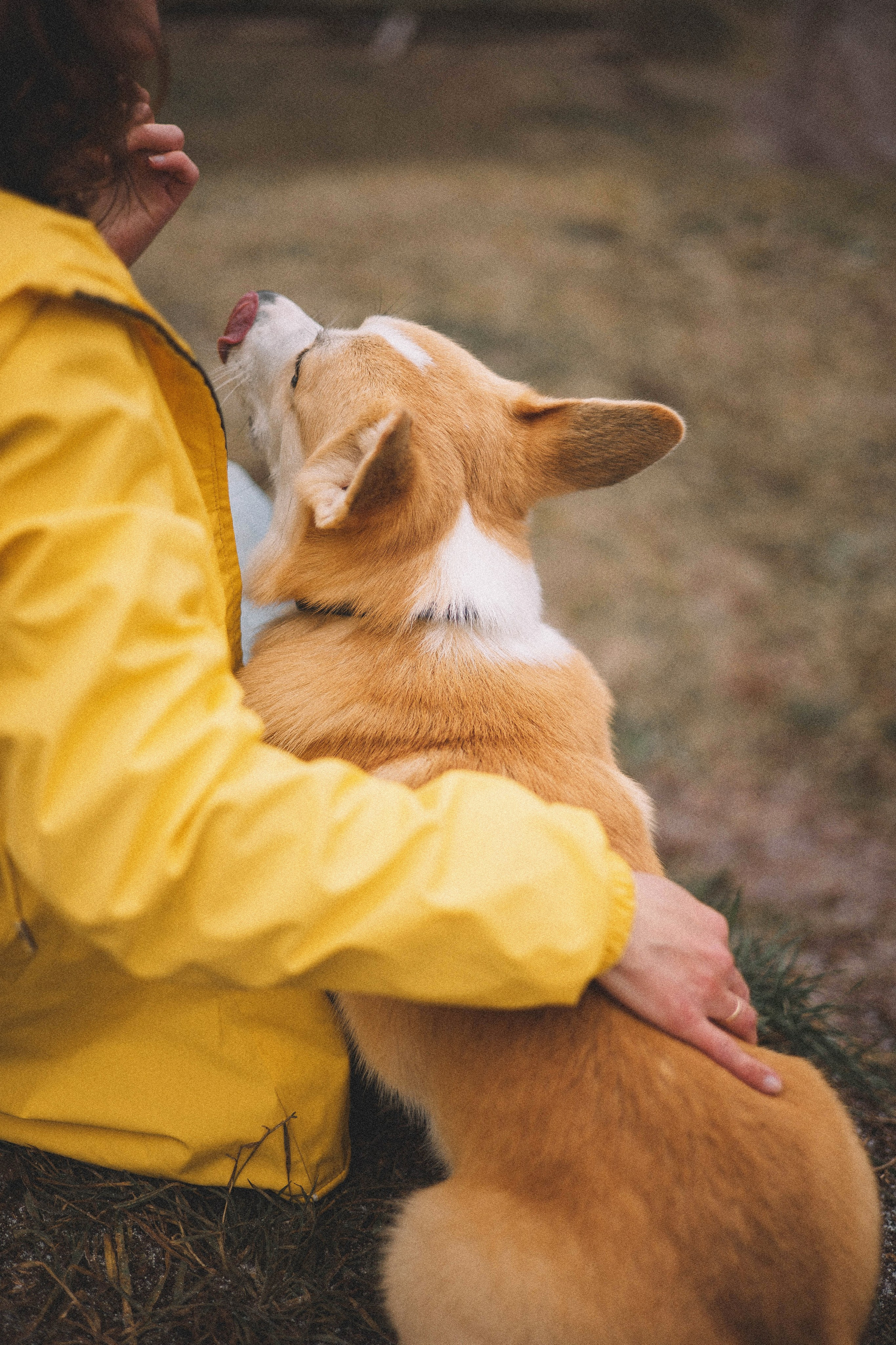 Юля и барри. Фотограф-анималист Богданова Полина