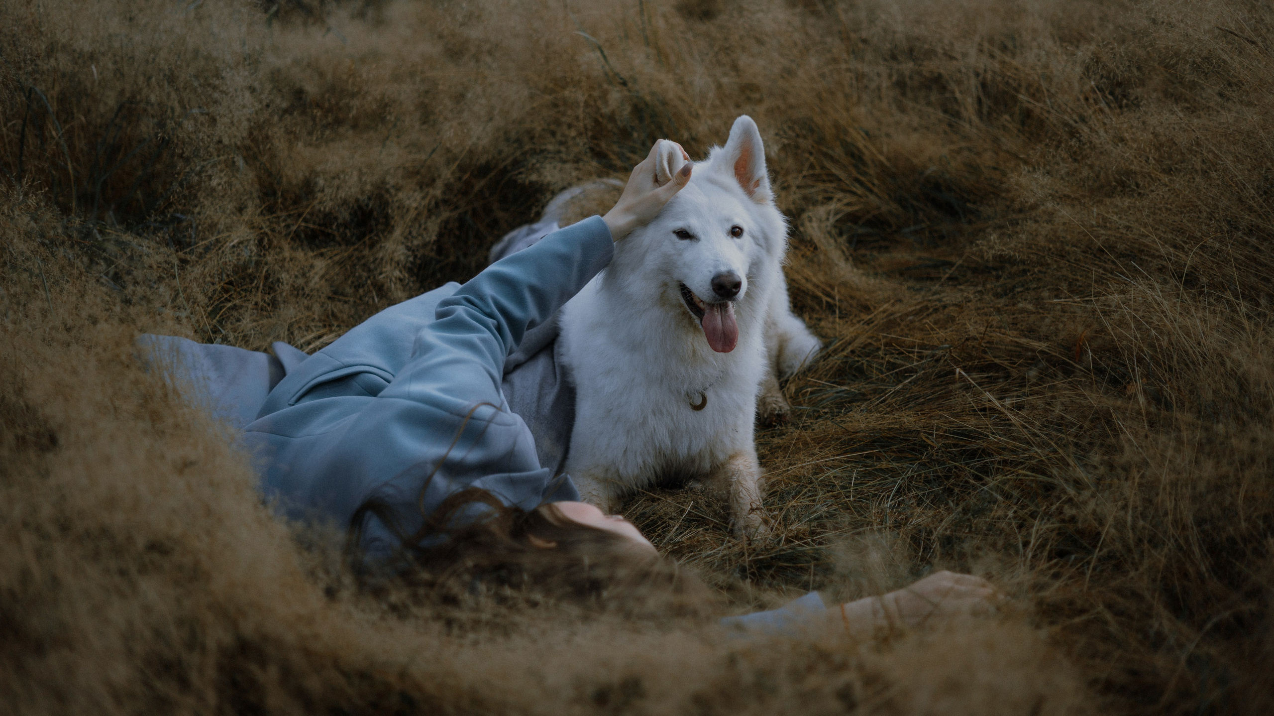 Вика и Уля. Фотограф-анималист Богданова Полина