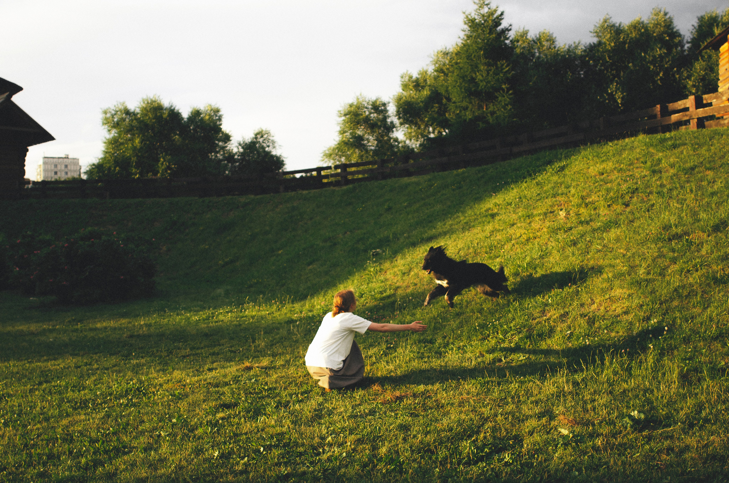 Анна и Марко. Фотограф-анималист Богданова Полина
