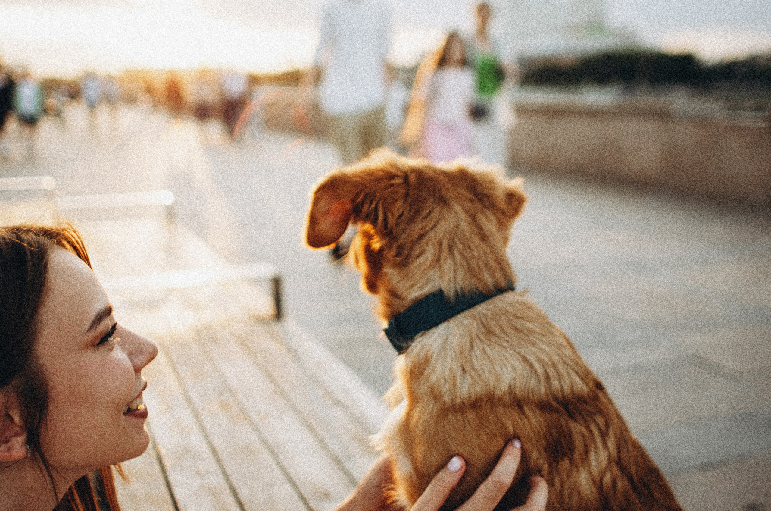 Вика и Хардин. Фотограф-анималист Богданова Полина