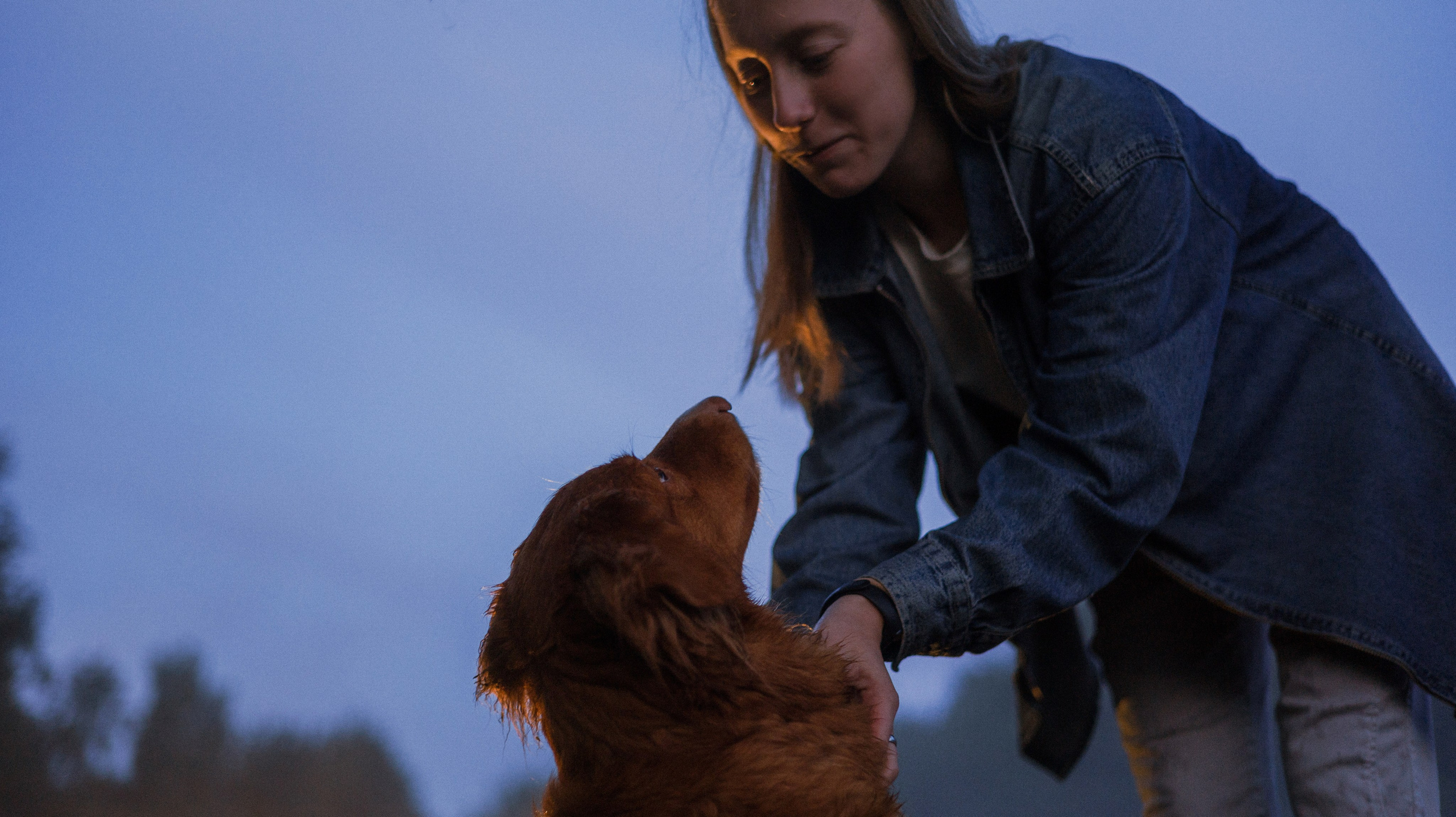 Ксюша и Мэди. Фотограф-анималист Богданова Полина