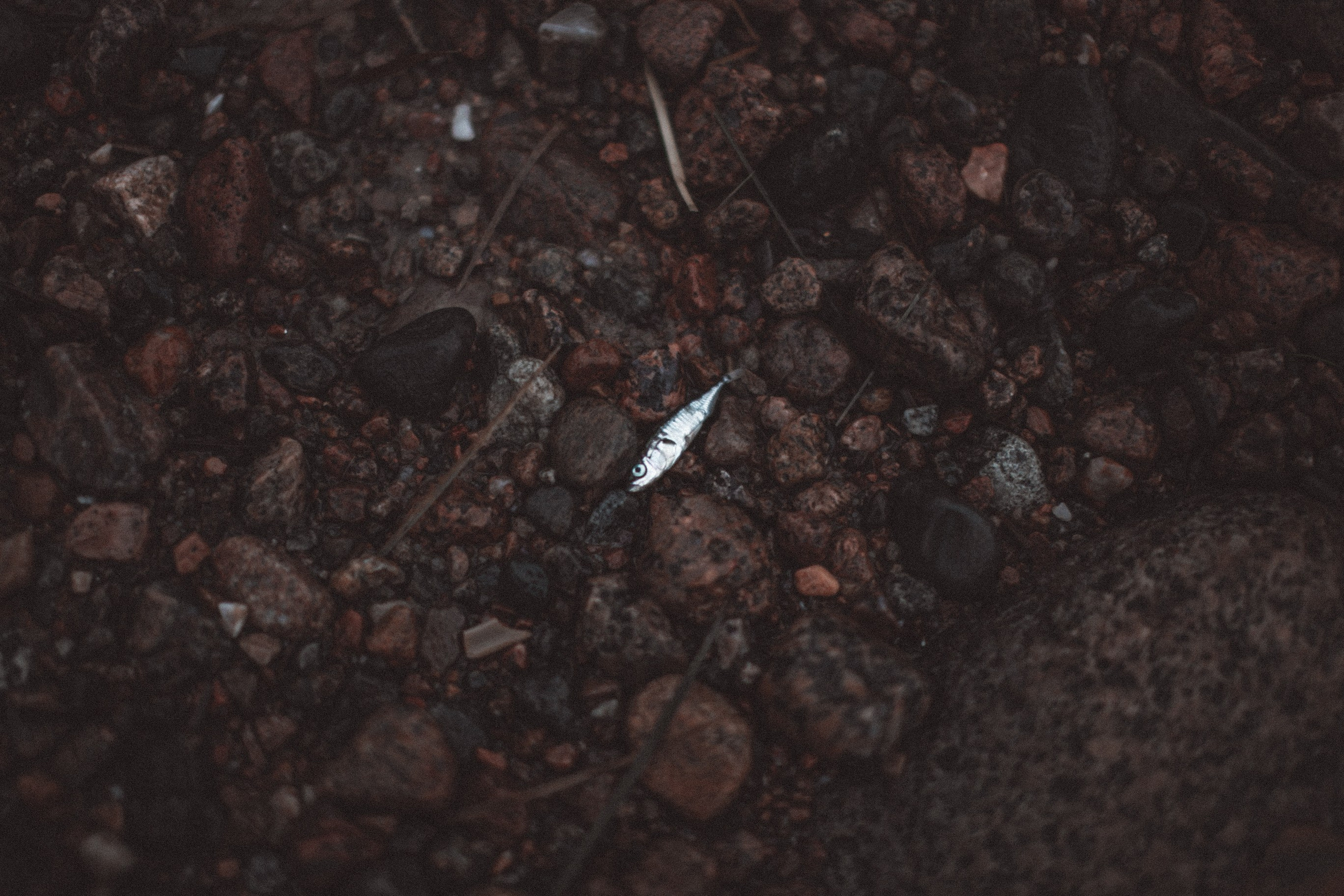 Заброшенная роскошь. Главная