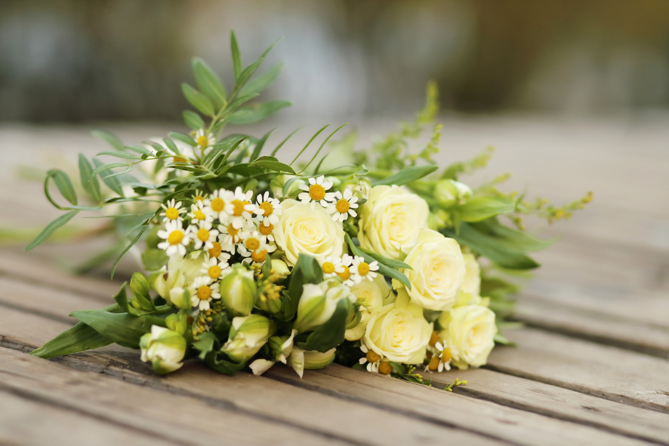 Александр Лихачев — индивидуальные фотосессии в Иркутске. Александр Лихачев — Свадебный фотограф в Иркутске