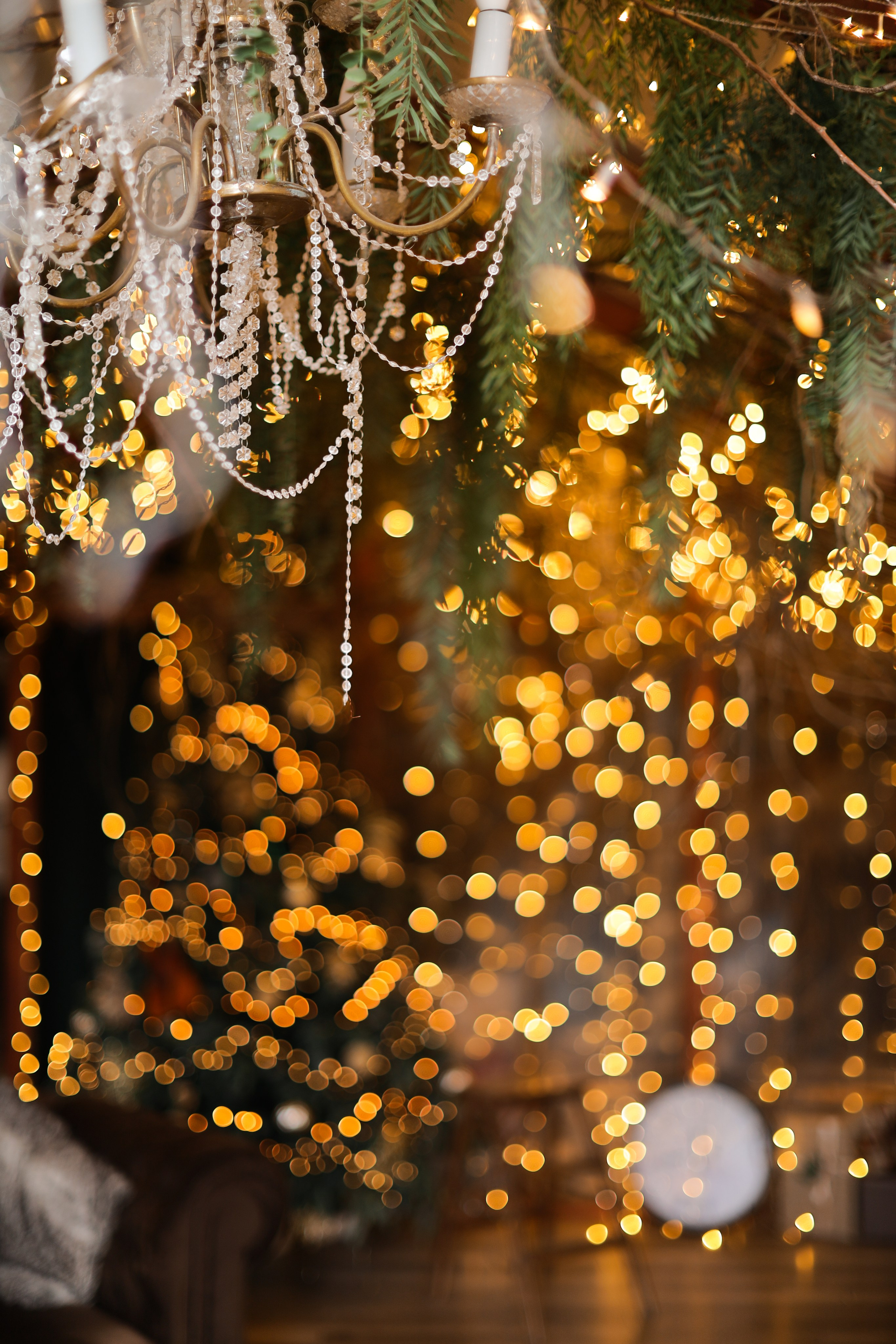 Фотостудия «Роял» зал Теплица. Свадебный фотограф в Ростове Александра Груздева