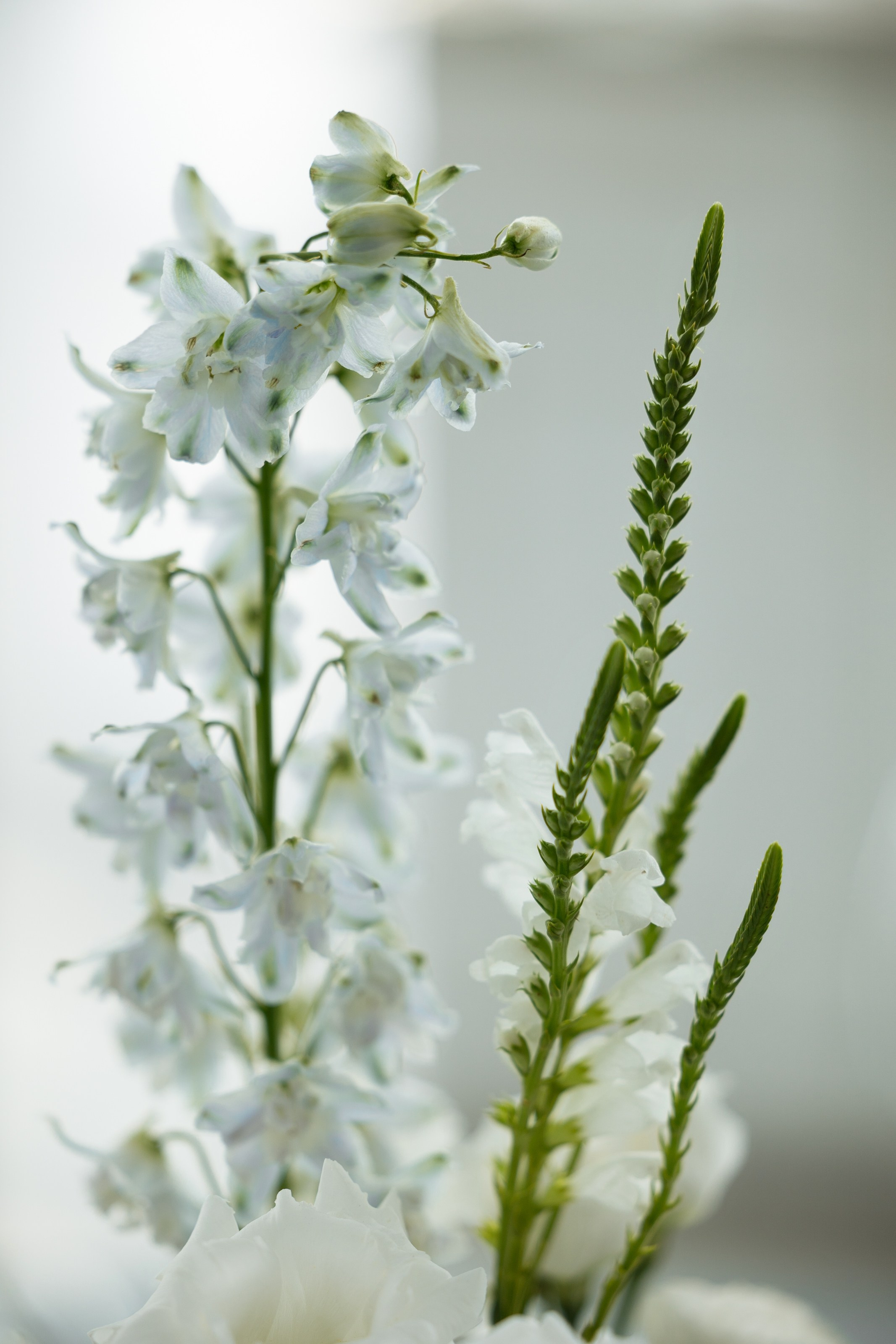 Алибек и Мари. Свадебный фотограф в Ростове — на — Дону Александра Пивоварова