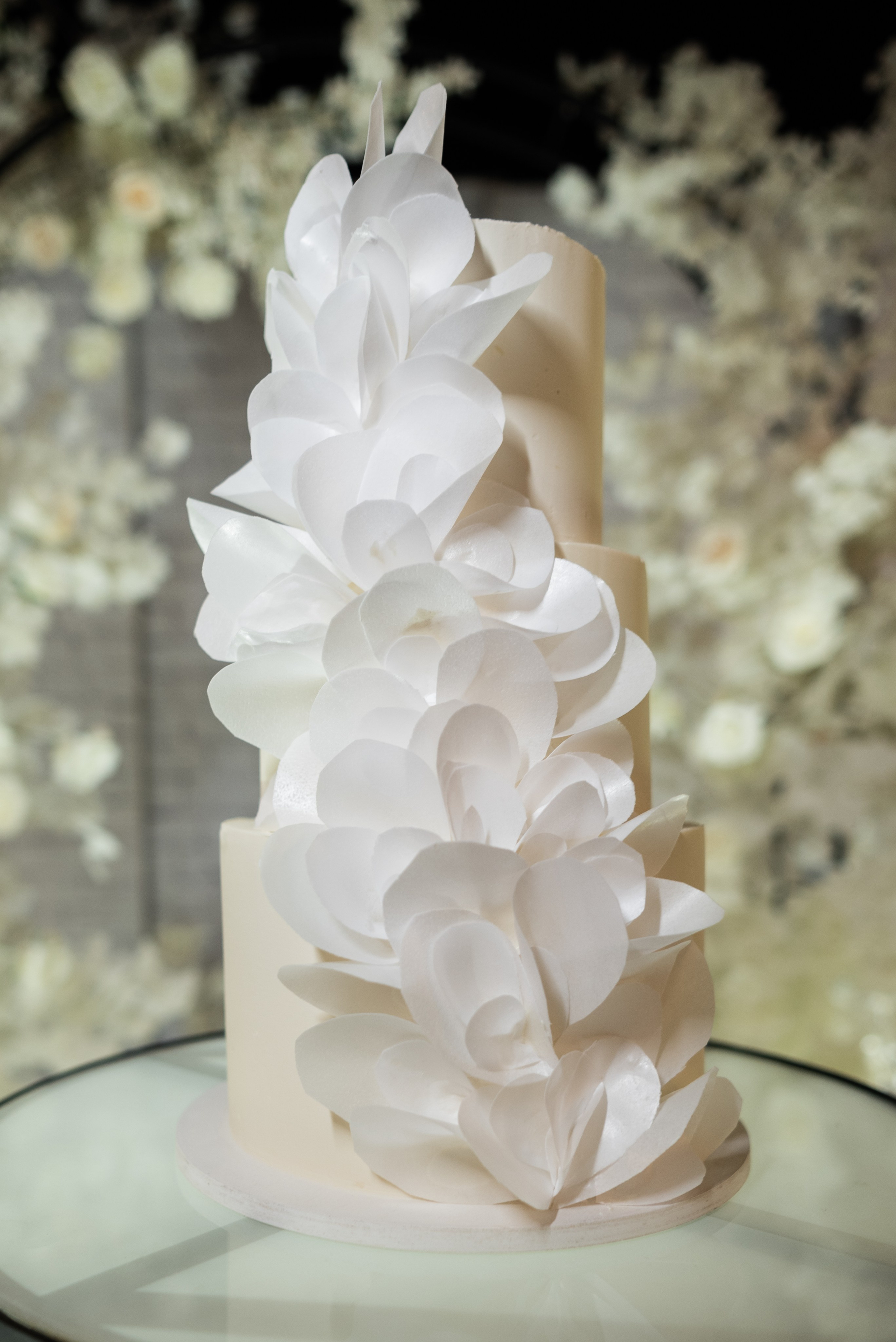 02.09.23. Свадебный и семейный фотограф Евгения Хомчановская