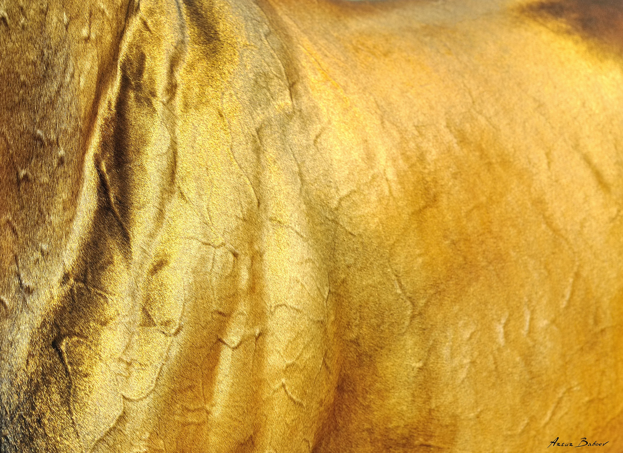 Gallery. Art photos of horses — ARTUR BABOEV | Photographer