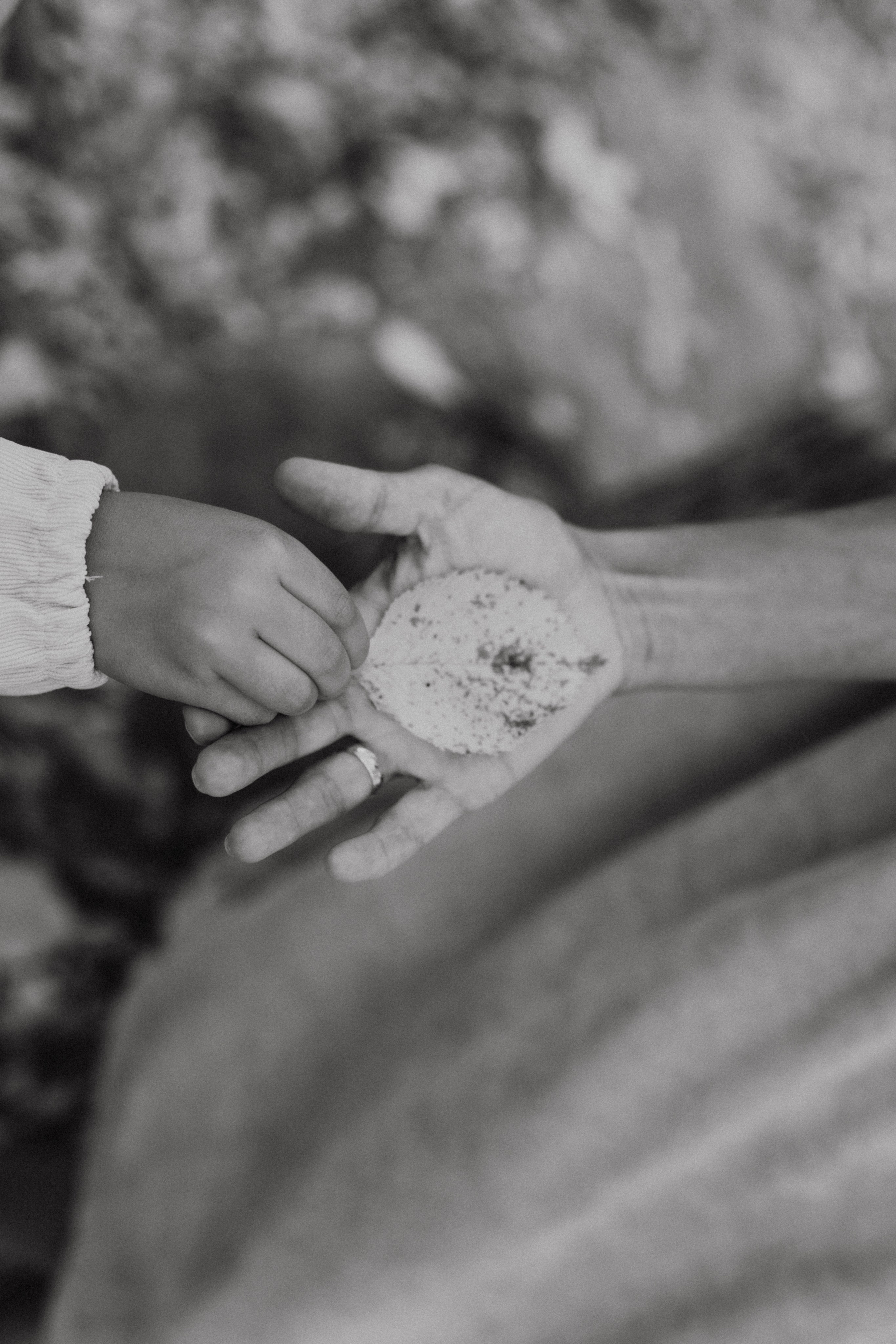 Земснаряд осенний. Фотограф в Нижнем Новгороде