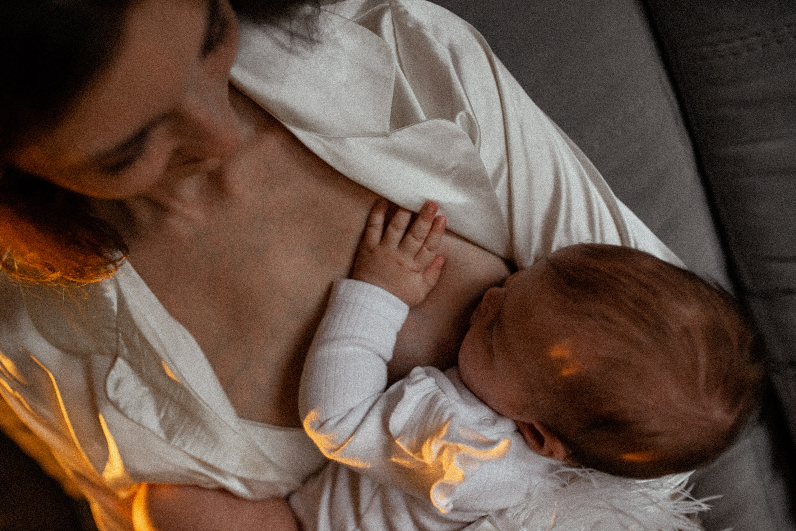 Домашняя 26.11.23. Галина Чекунова Фотограф в Ростове-на-Дону