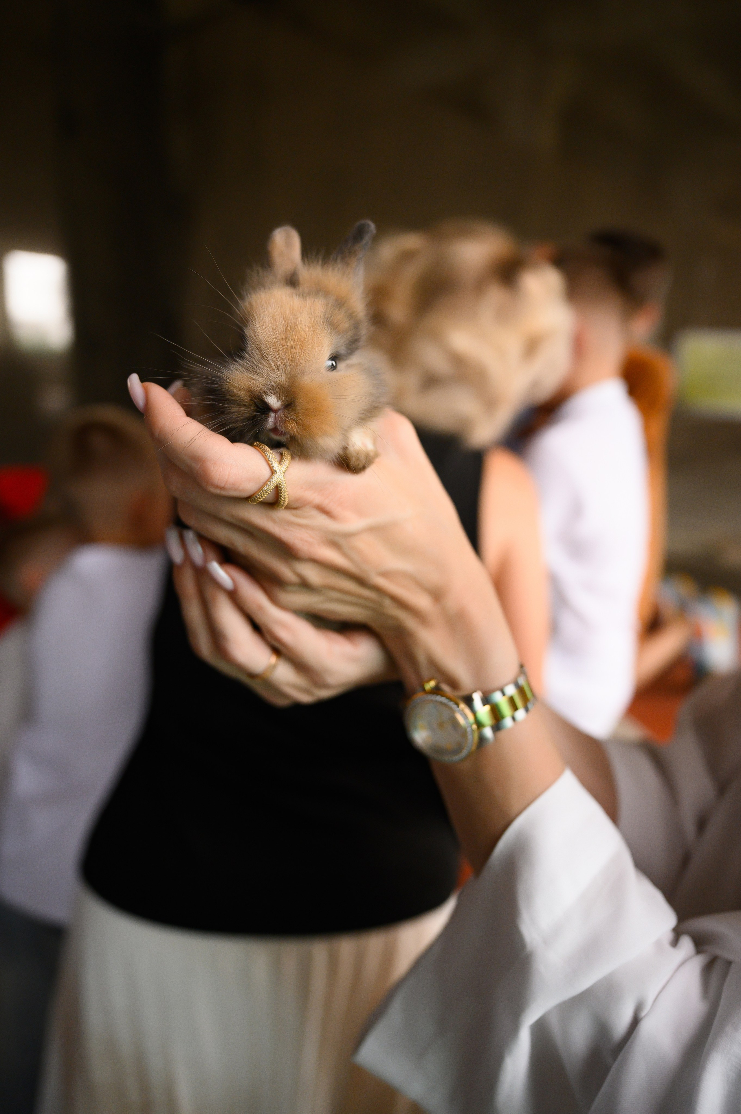 22.08.24. Свадебный и семейный фотограф в Краснодаре