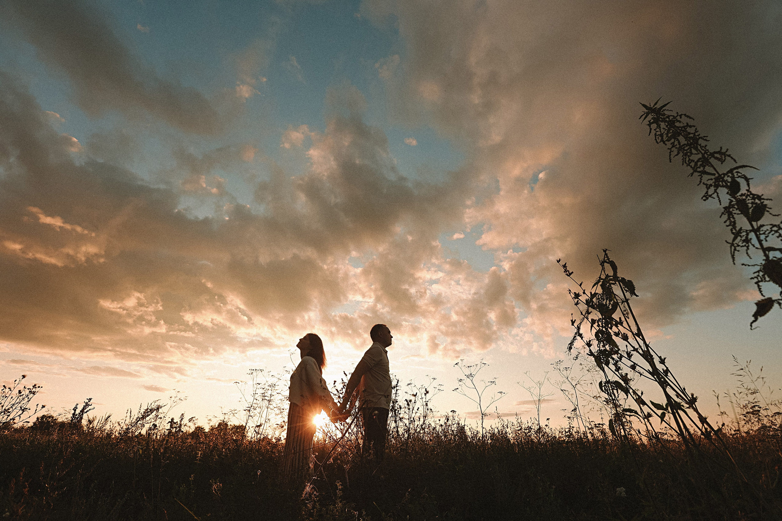 Поле love story на закате. Семейный фотограф Тюмень, фотограф на роды Салмина Мария