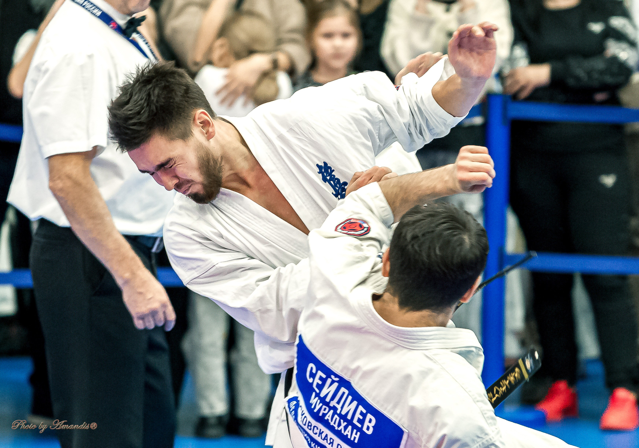 Чемпионат по Киокушинкай Центрального Федерального округа. Репортажная съемка в Москве и области. Анималистика