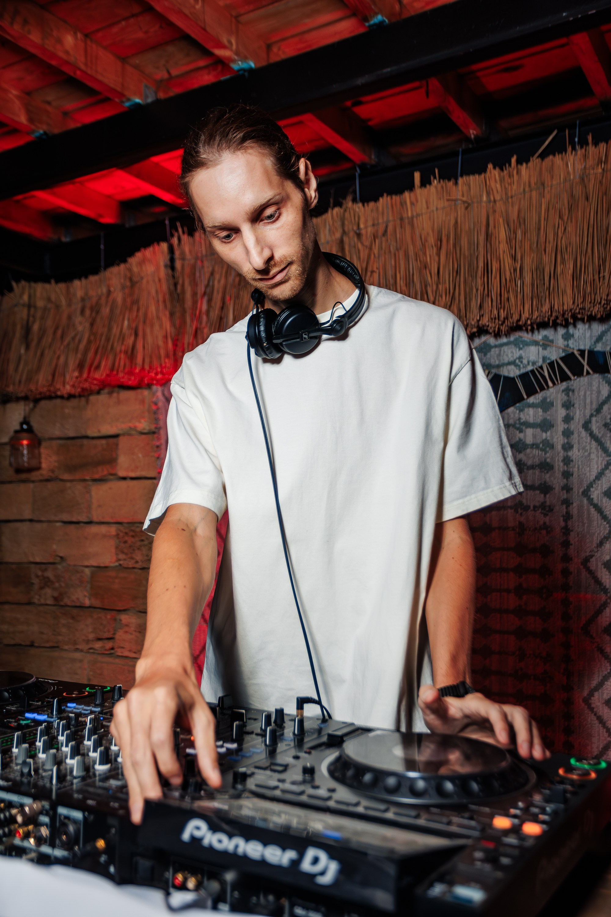 «КРАВЦ"_Чайка на пляже_Ялта_27.08.2025 г. Аминов Руслан | Фотограф