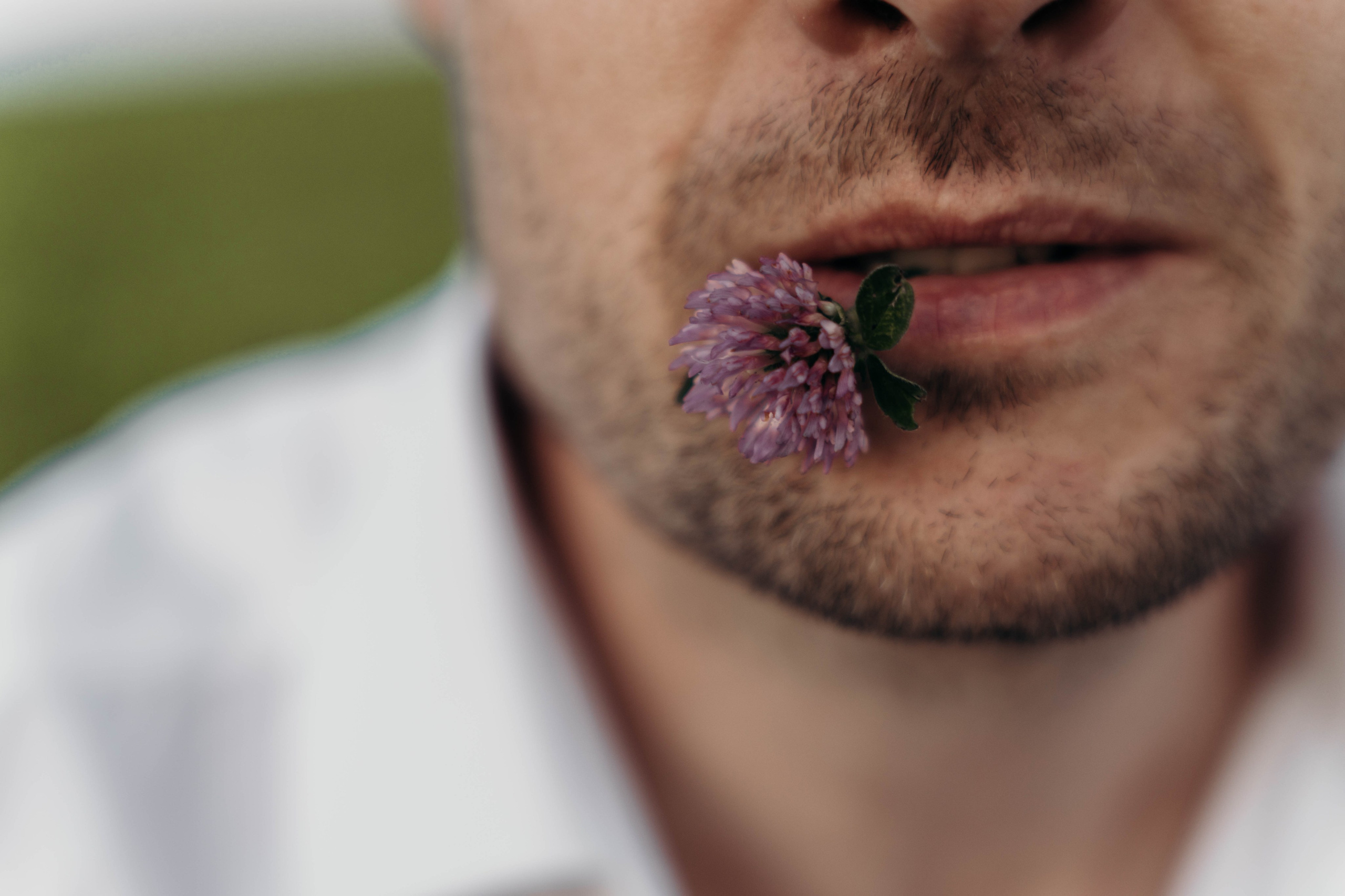 Творчество. Семейный и портретный фотограф во Владимире и Суздале