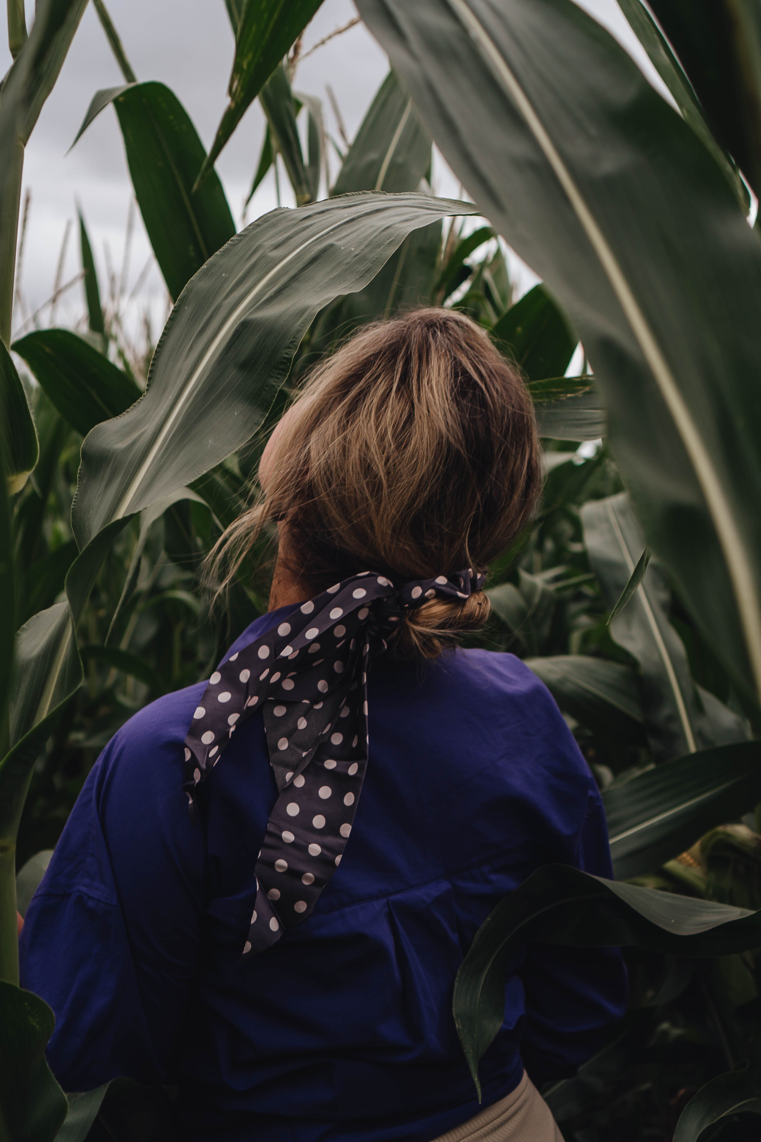 Фотосессия в поле. Профессиональный фотограф, Санкт-Петербург — Виктория Богомолова