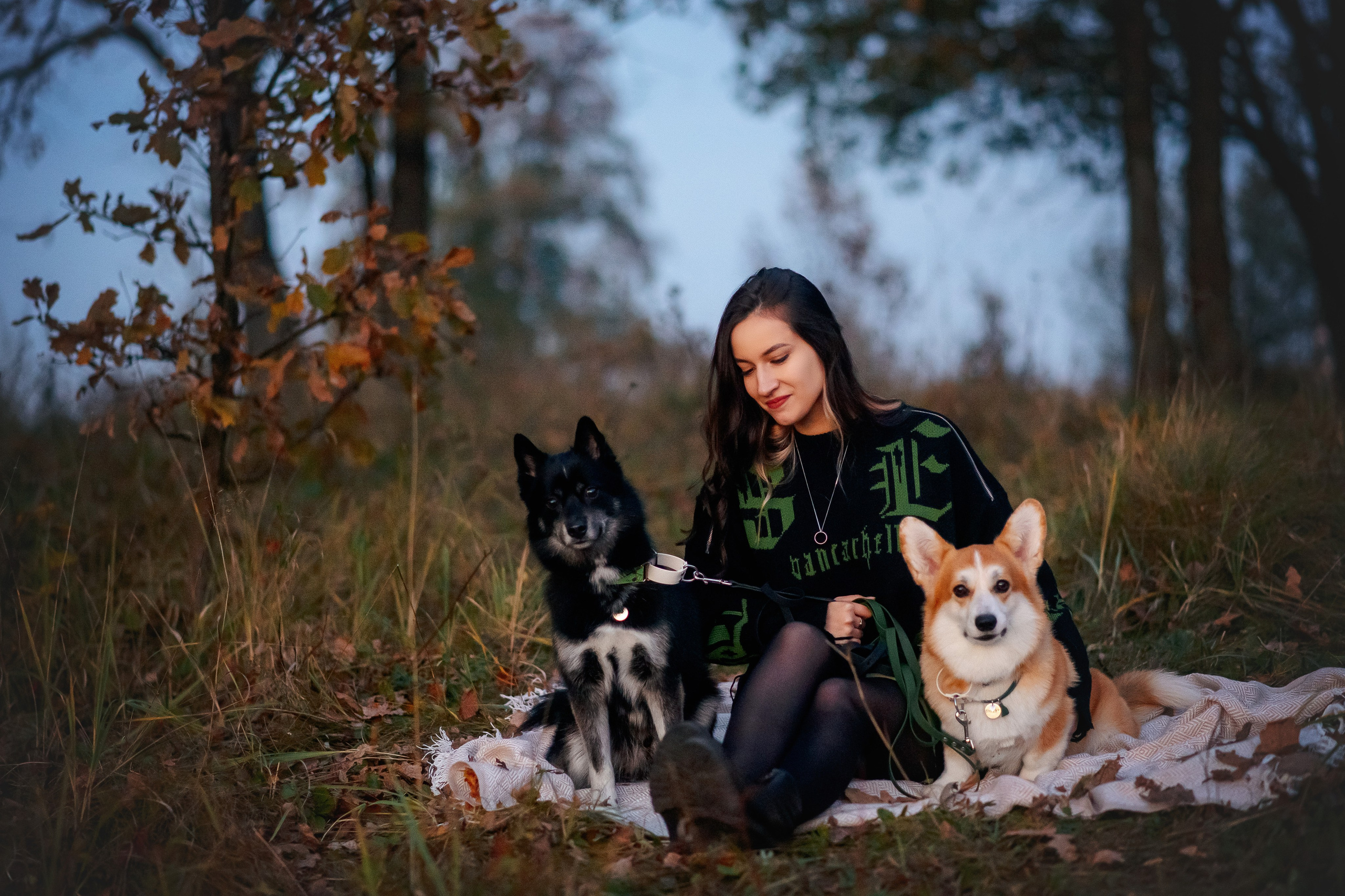 Максим, Надя, Рой и Шелби — 13.10.2024. Фотограф — Анималист | Анна Абрамова