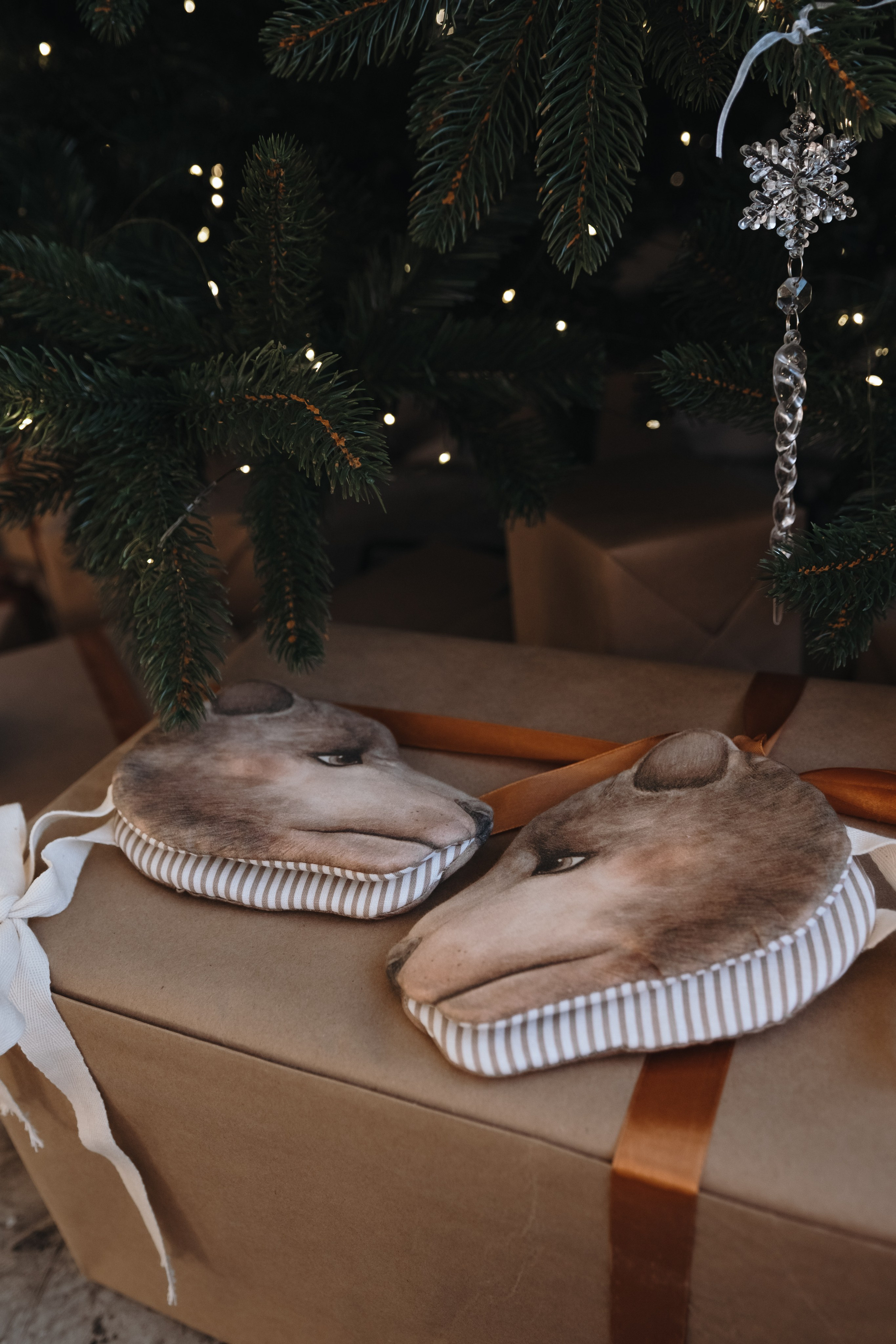 Семейная съемка (студия). Serg_film